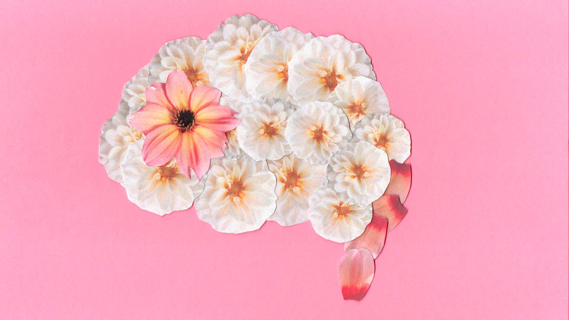 Tu n'es pas fou Papi