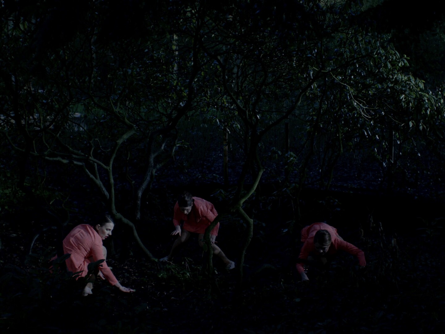 Ein bisschen Gemurmel aus dem Wald