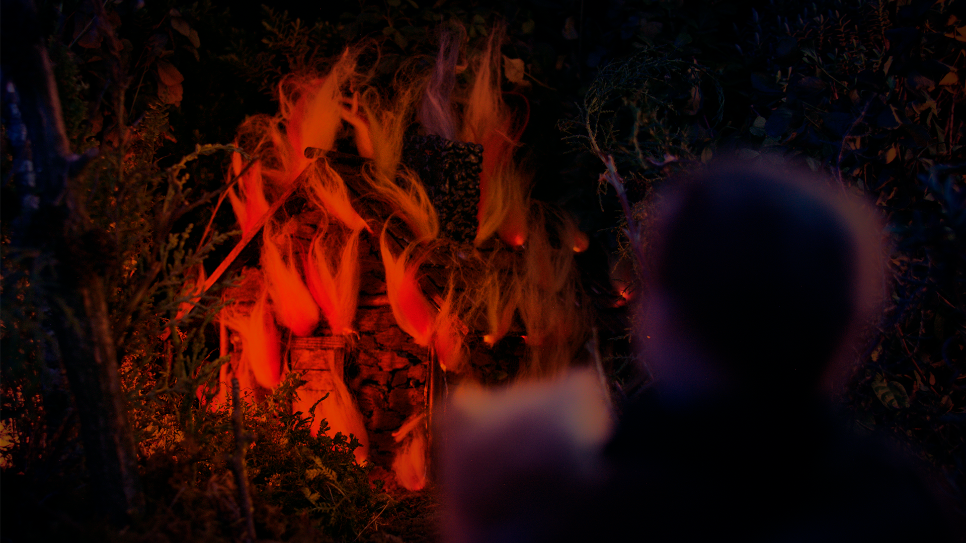 pena no duerme de noche