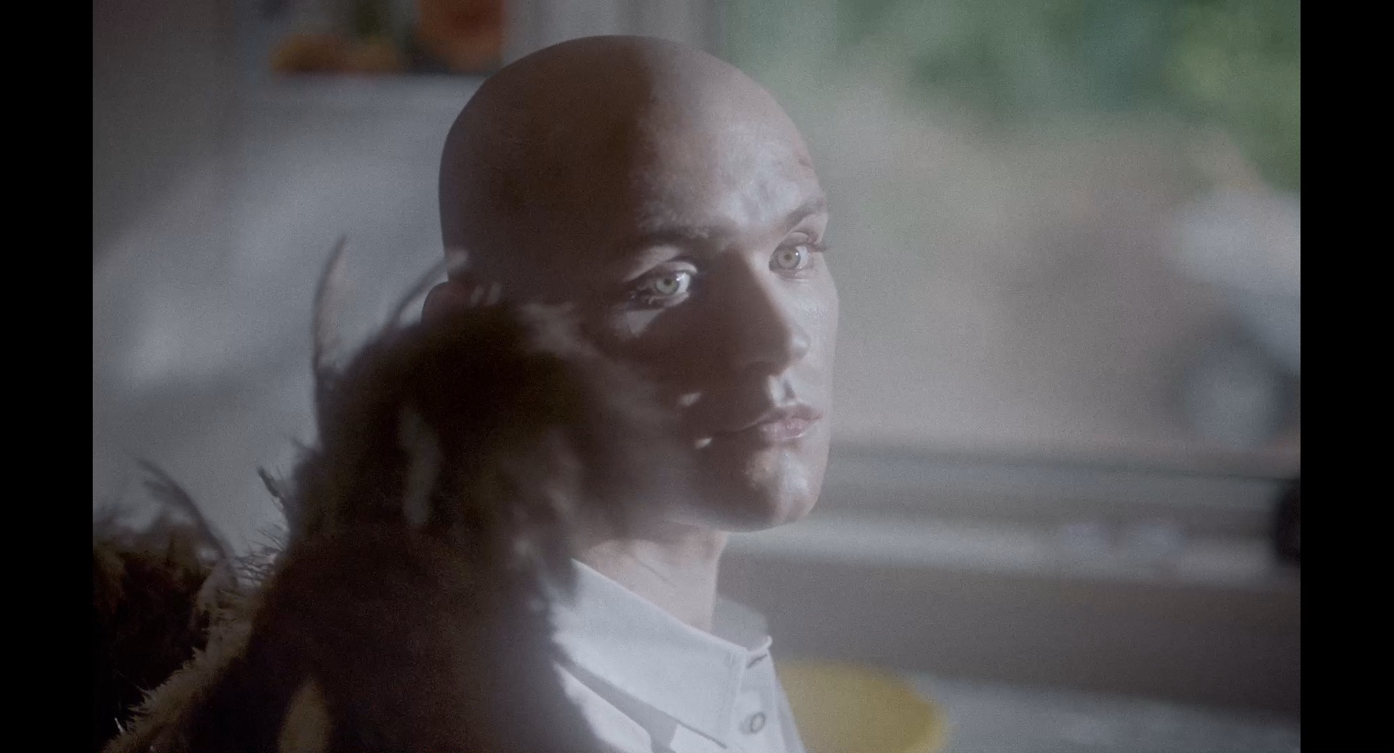 Parzellen Des Glücks