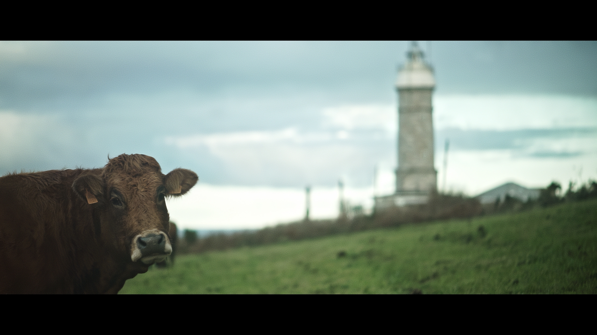 Relato del Niño que Estuvo Allí