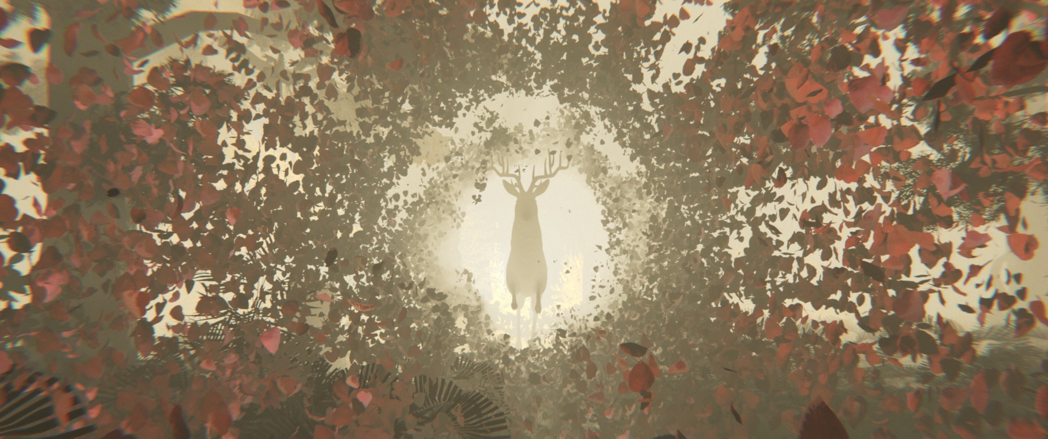 Where the Deer Sleep