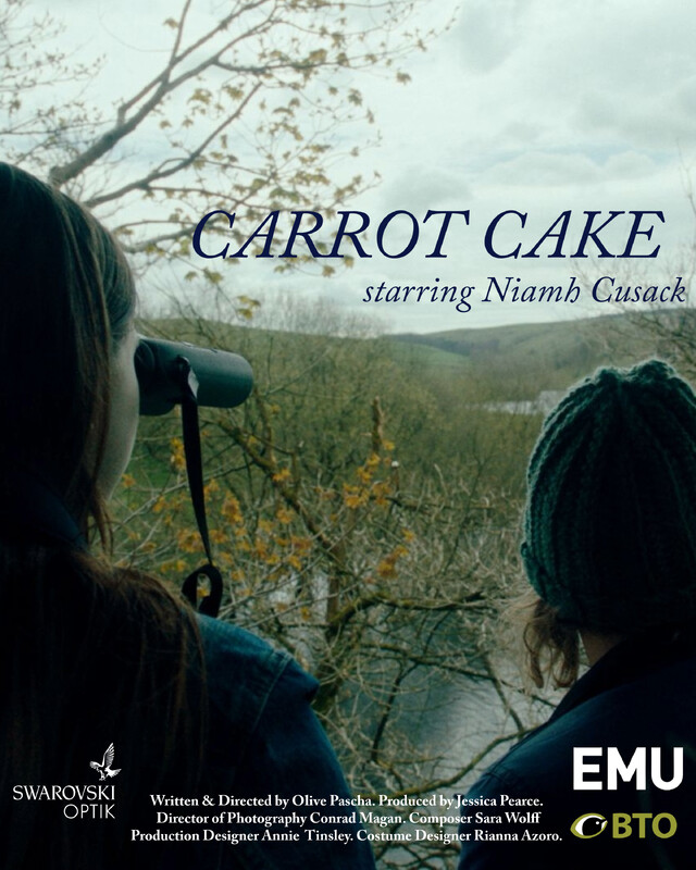 Carrot Cake