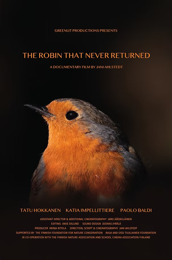 Punarinta joka ei palannut