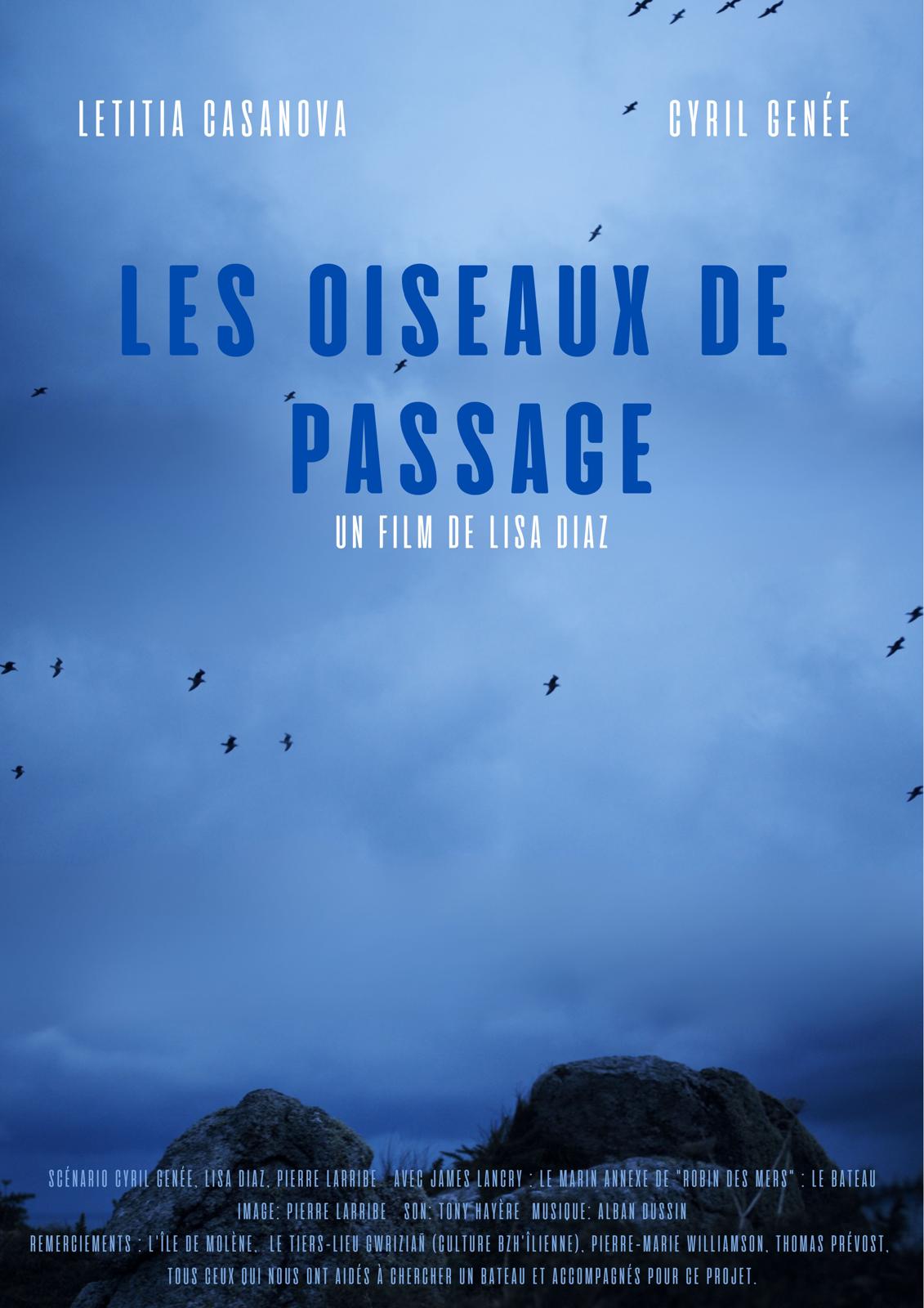 Oiseaux de passage