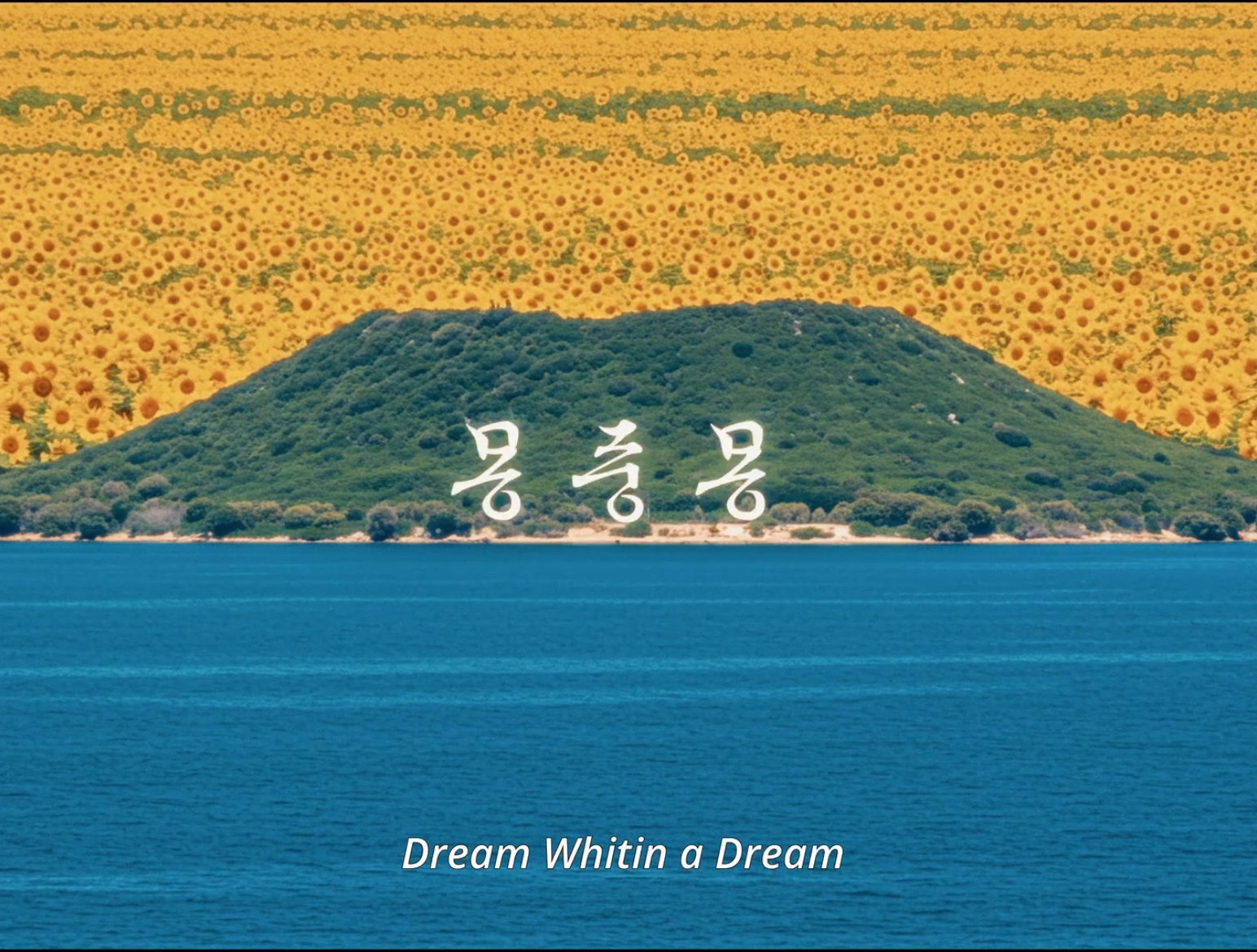 Dream Within a Dream