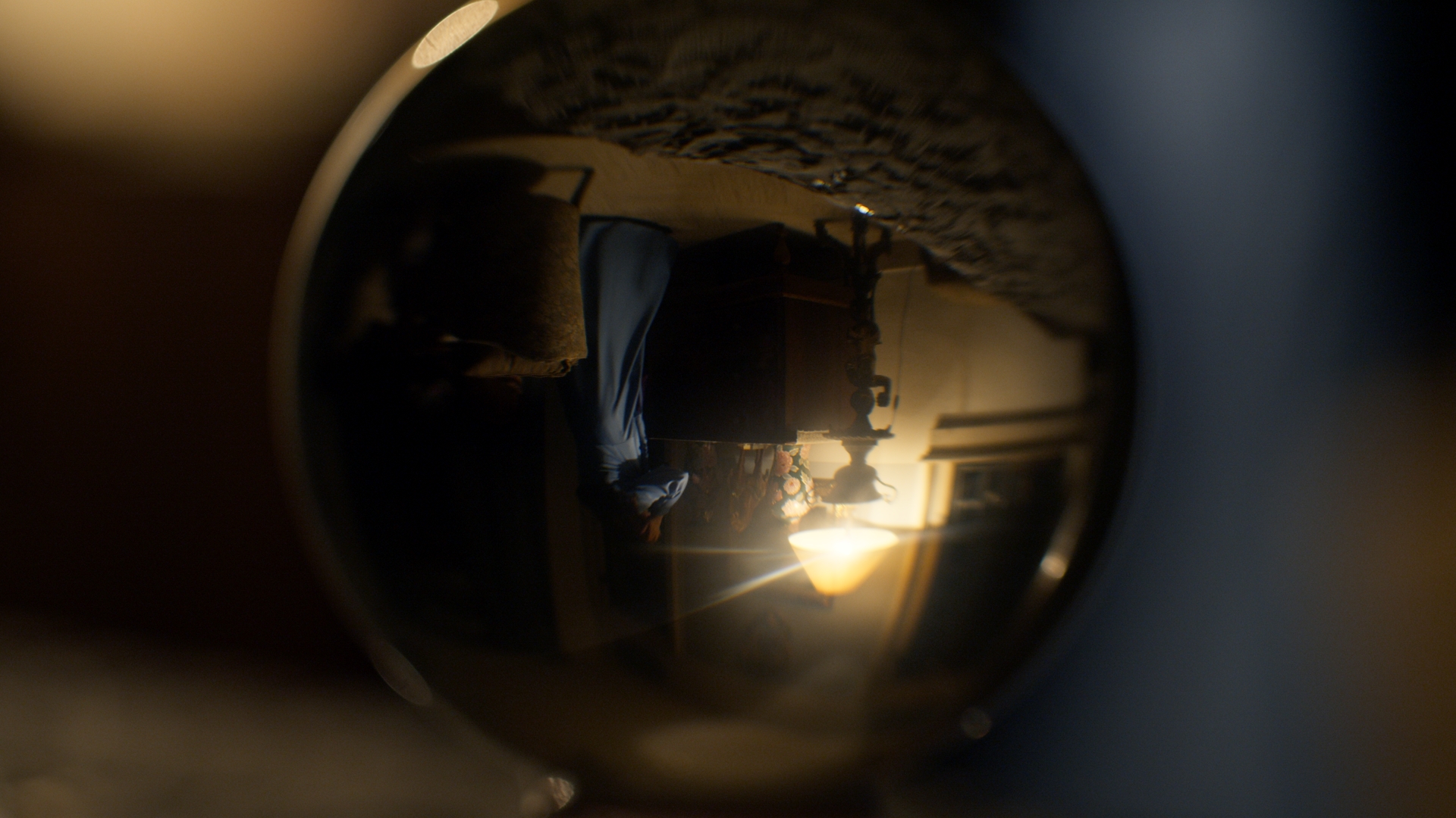 Ho Seppellito Un Animale