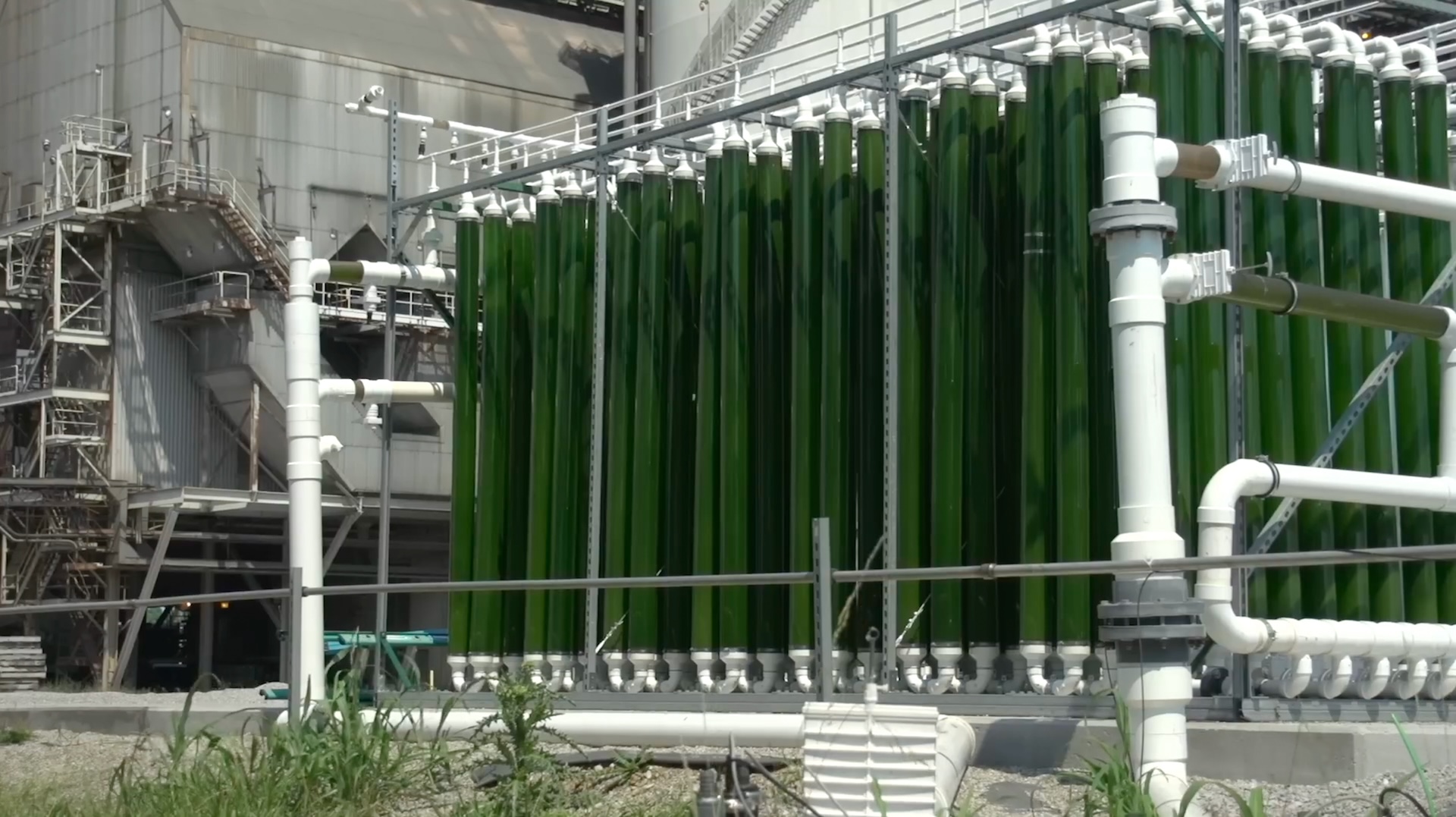 Green Grey Black Brown