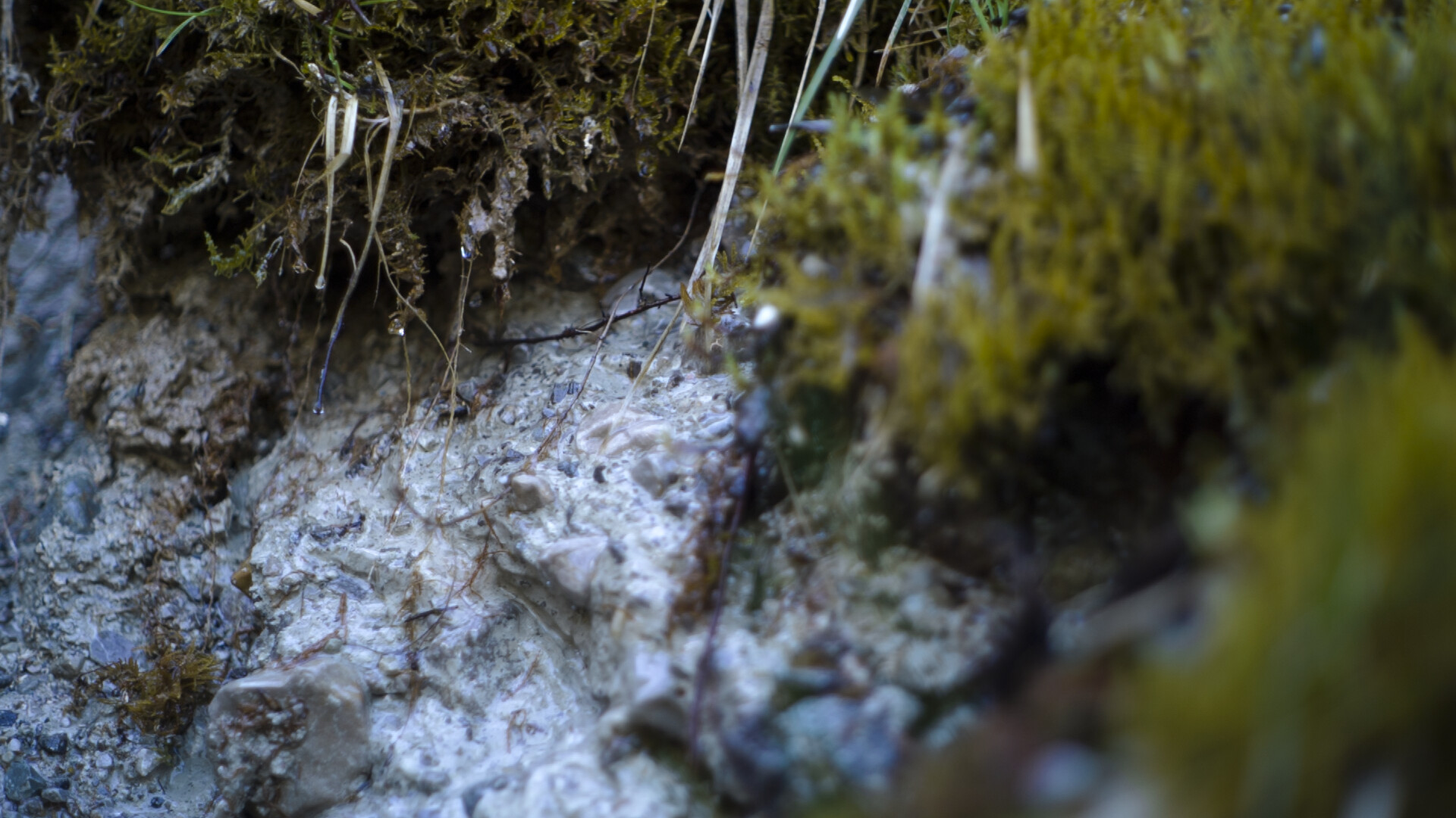 wasser zeichen