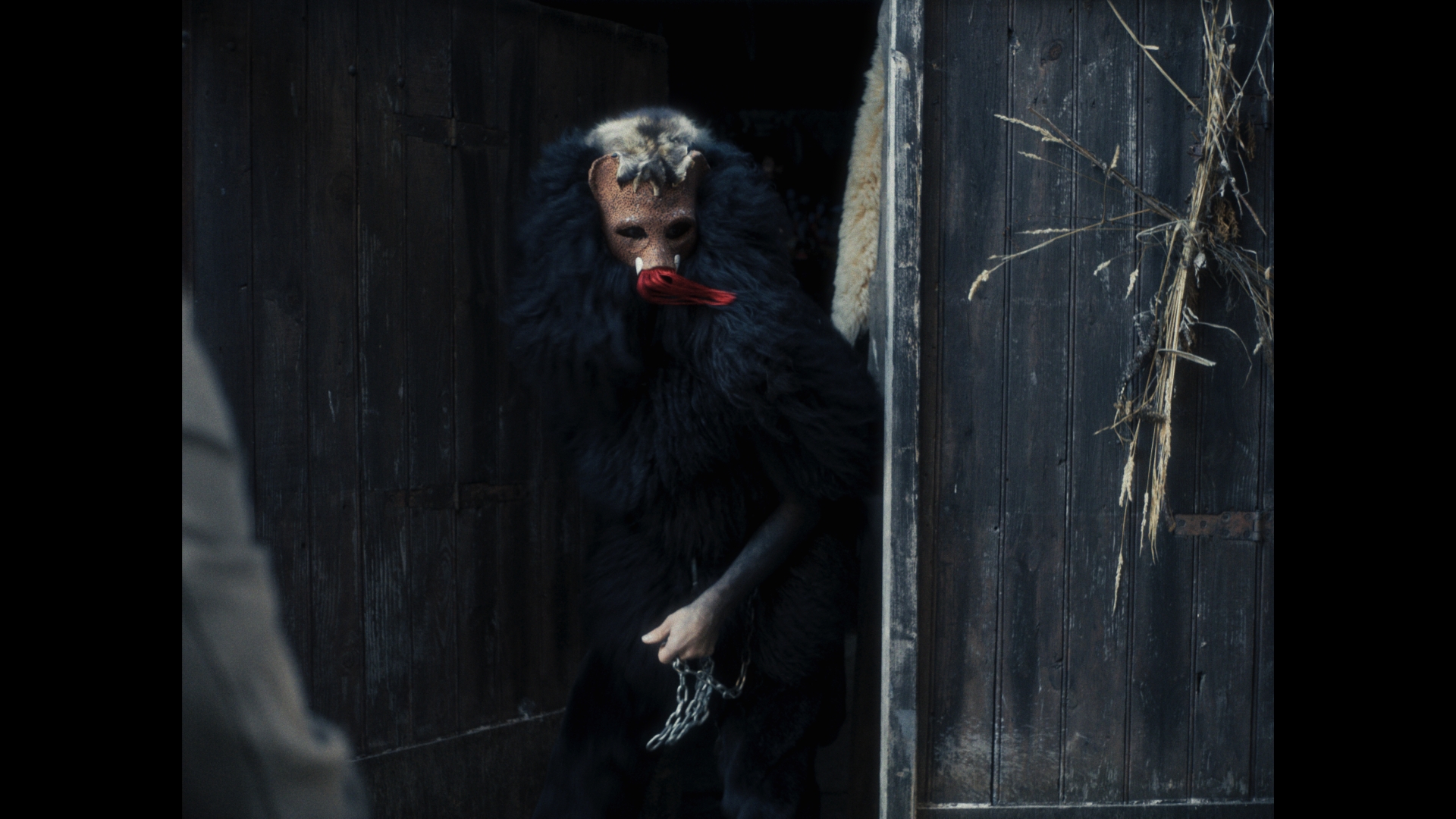 Dans la gueule de l'ours