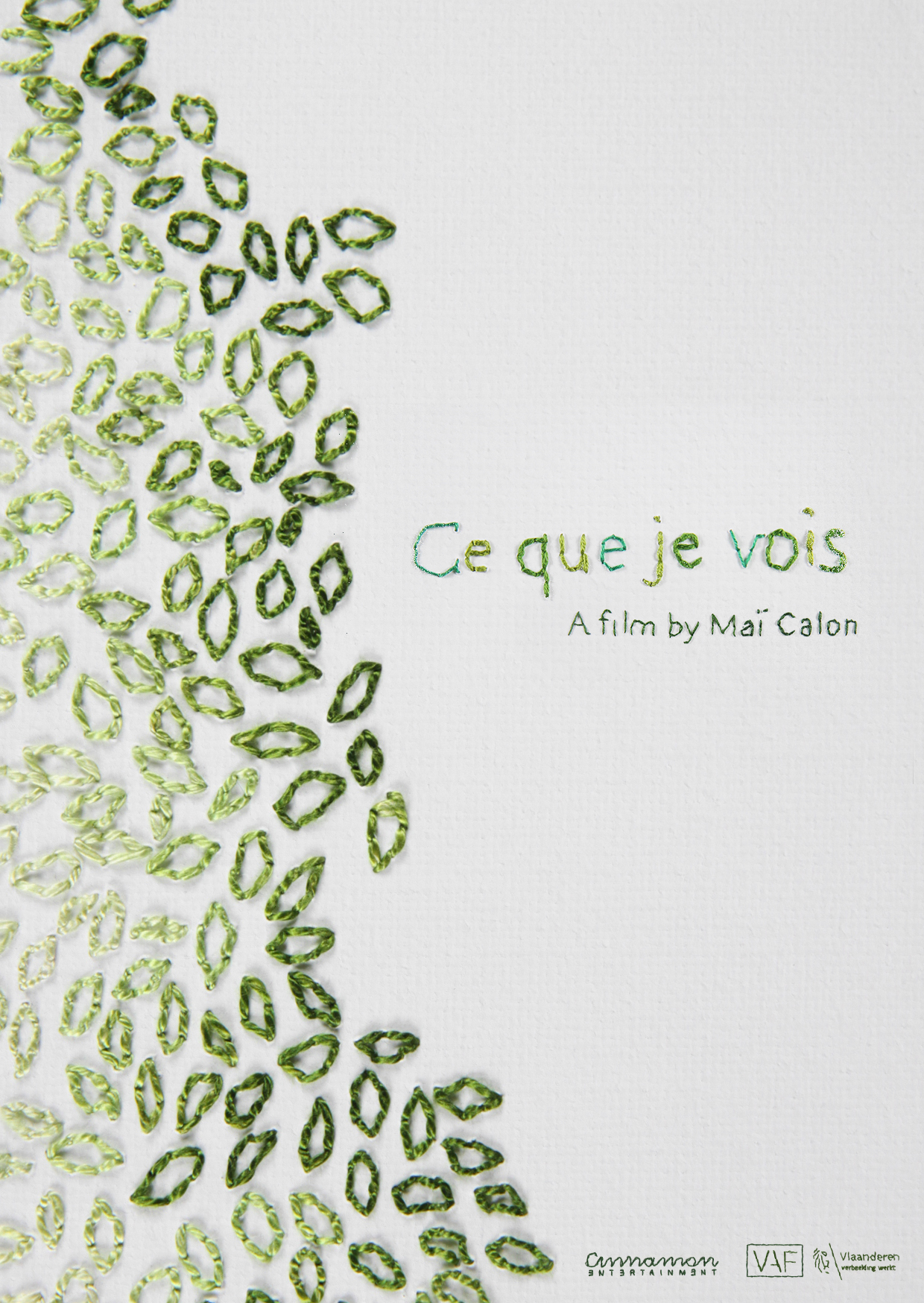 Ce que je vois