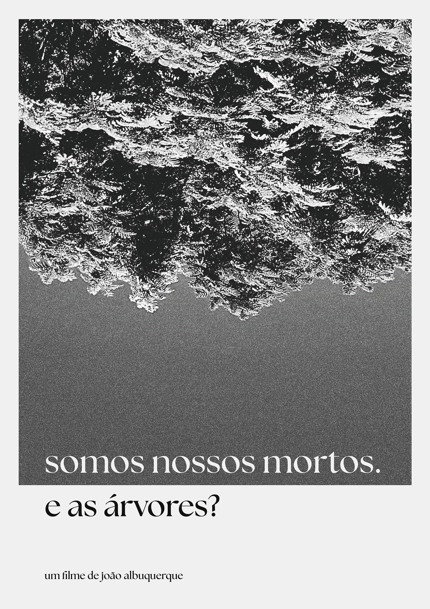 Somos nossos Mortos. E as árvores?