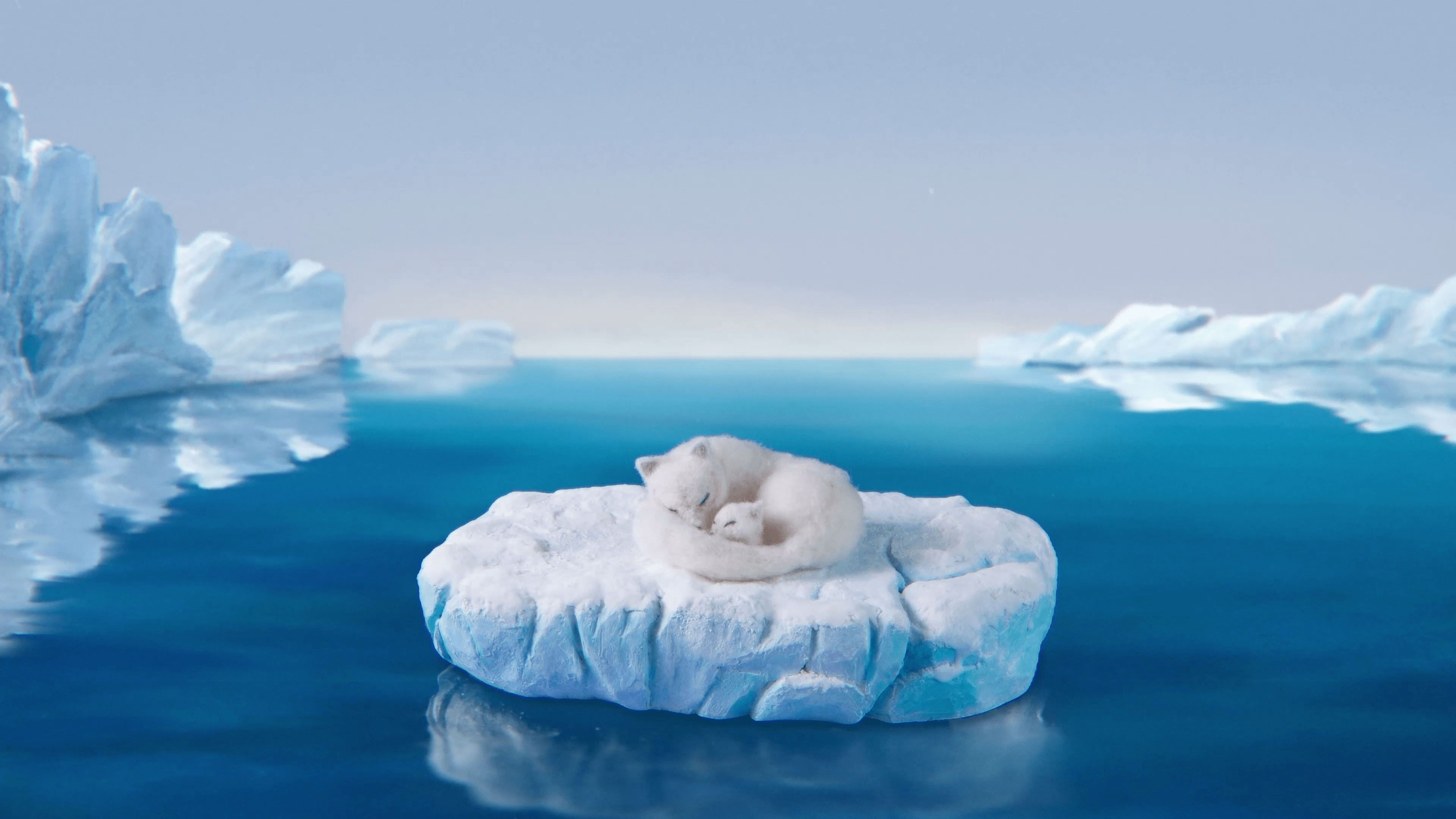 Boy Who Cheated Death