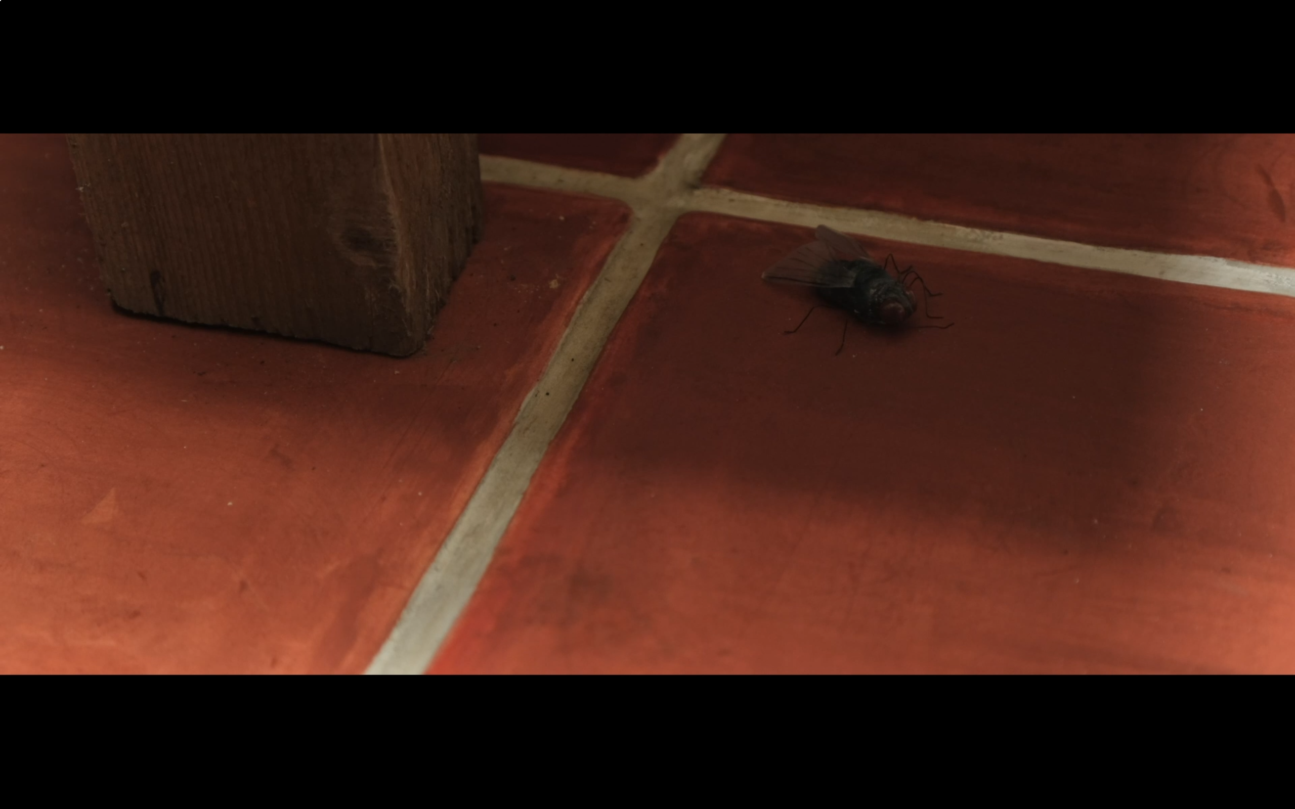 Faubourg du Temple - Grand Bleu Canap'