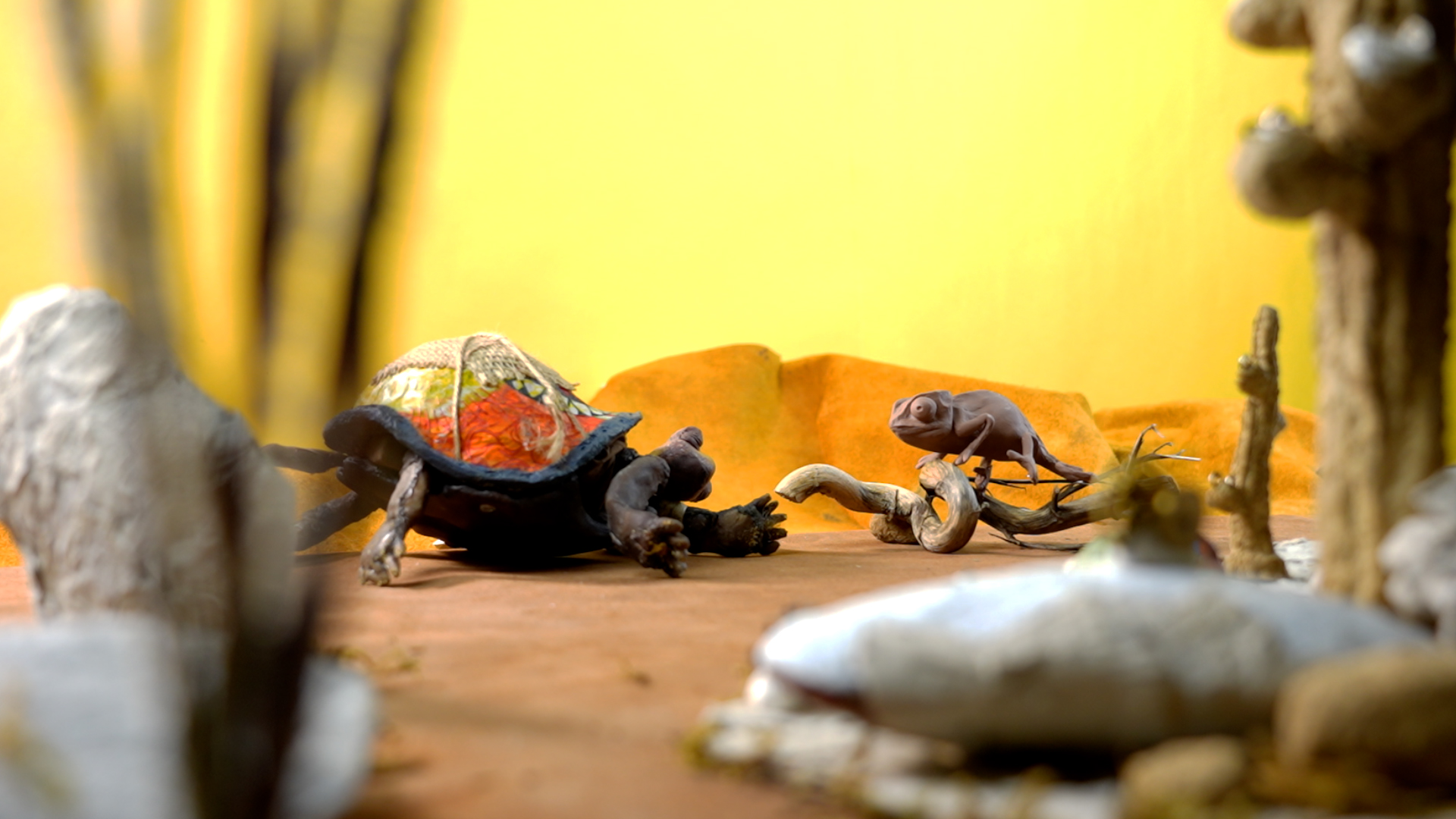 Sous la carapace, un monde
