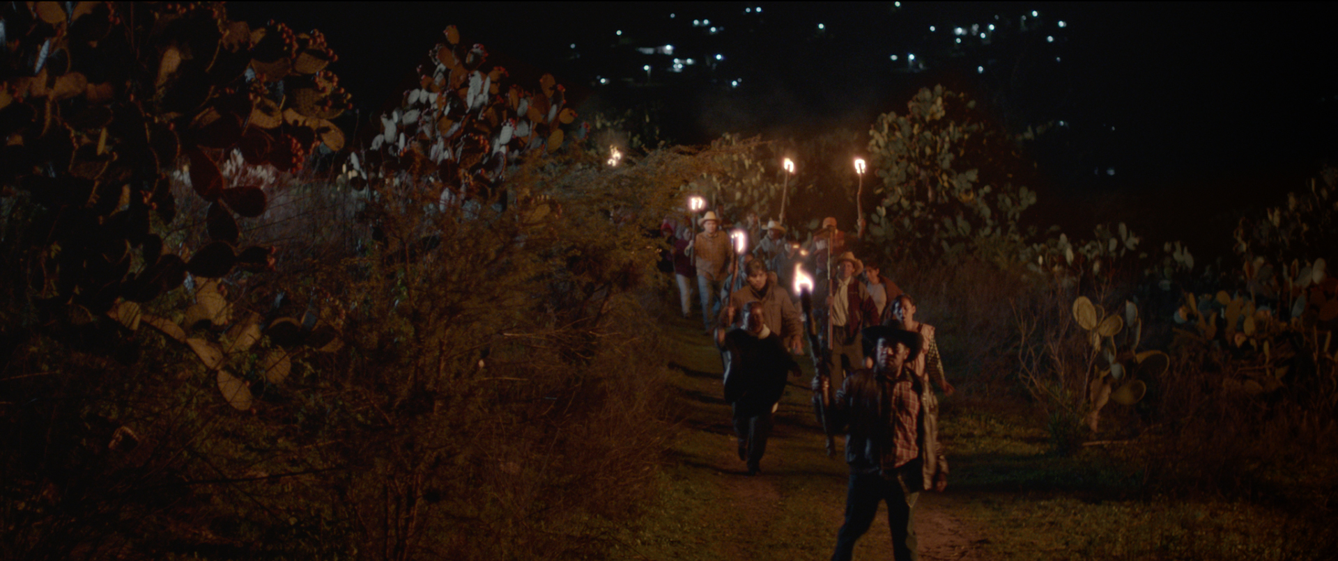 canto de los coyotes