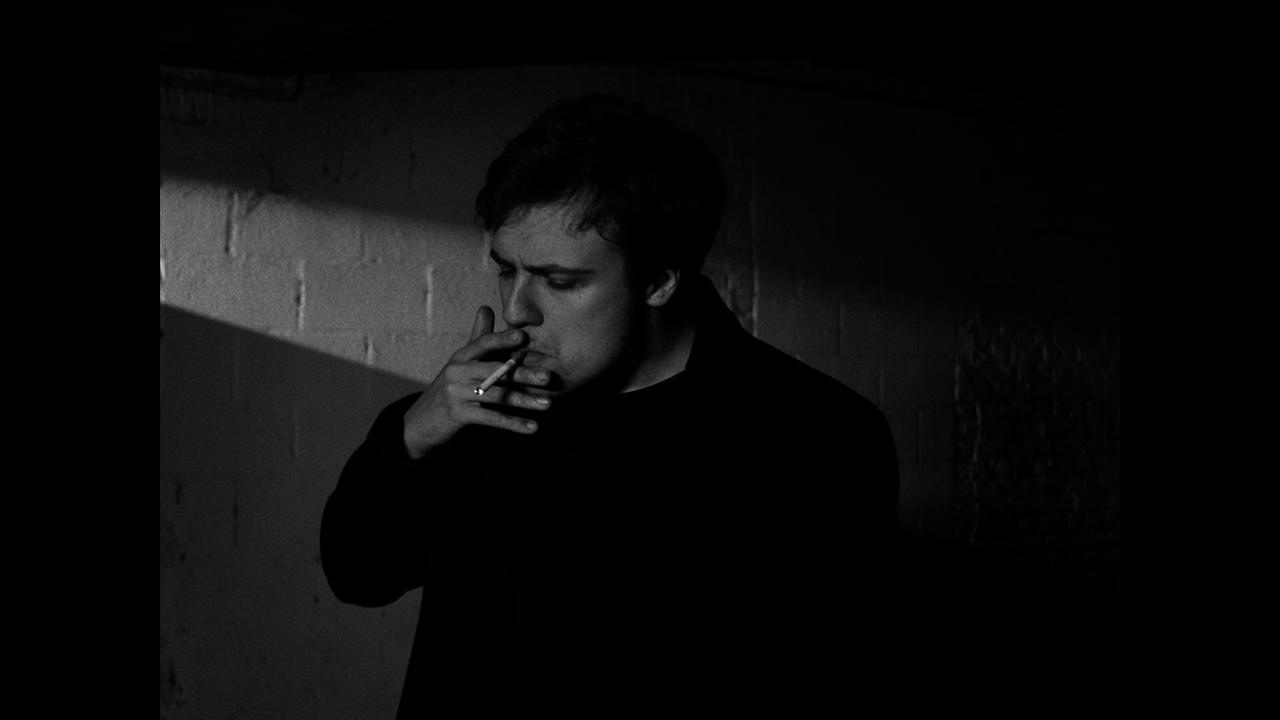 Malin comme un singe