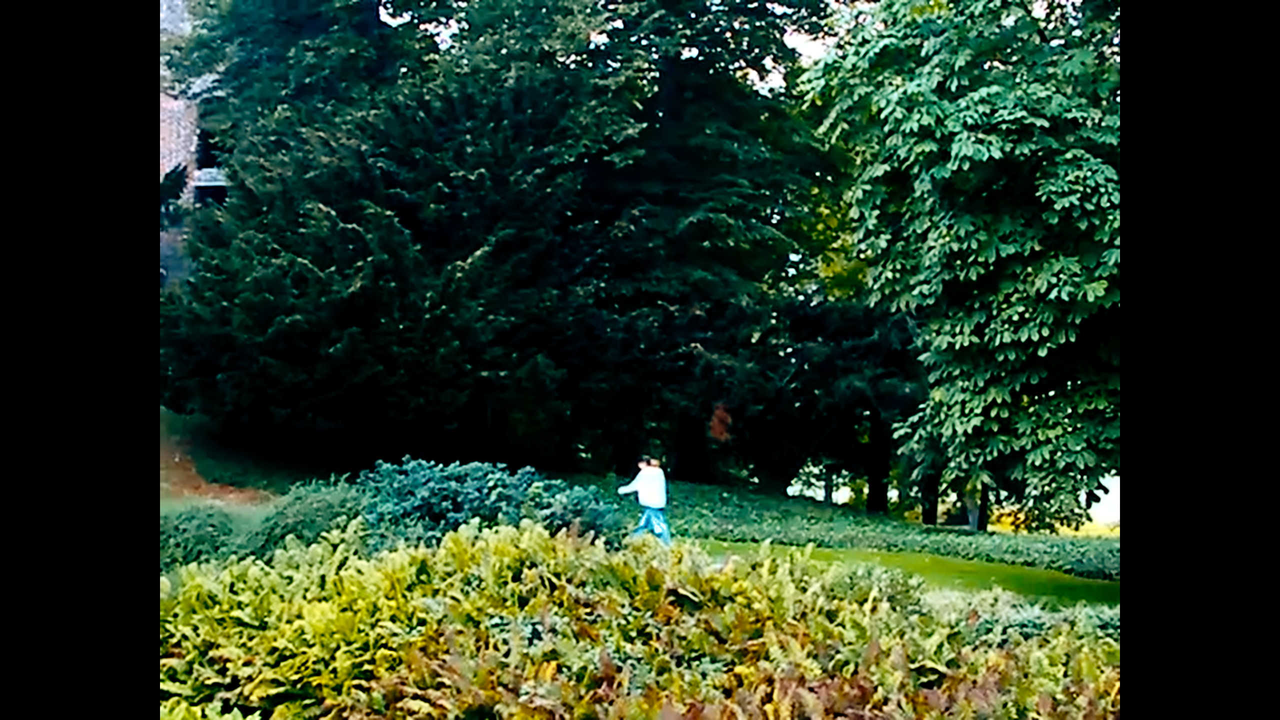 Grounds, Premises