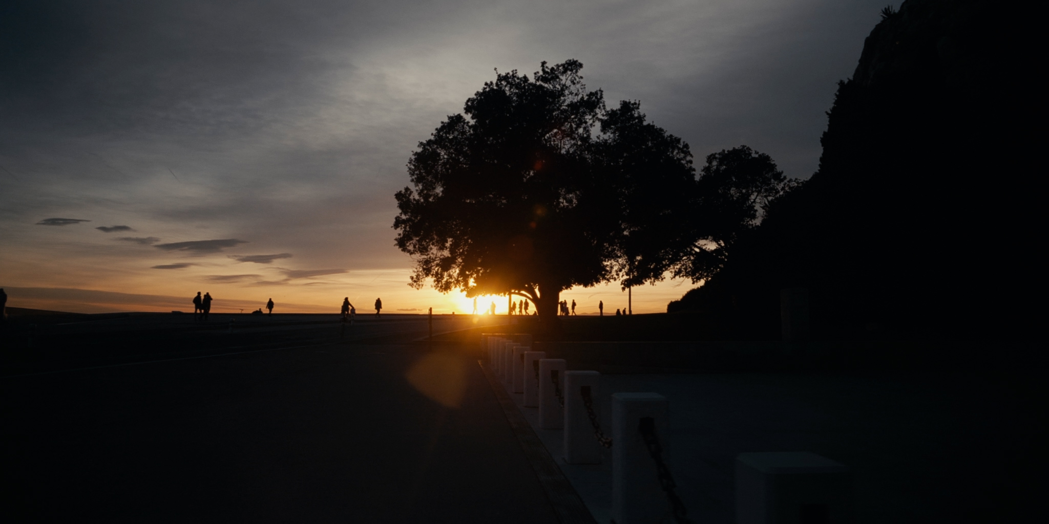 À la recherche d'Eva Freud