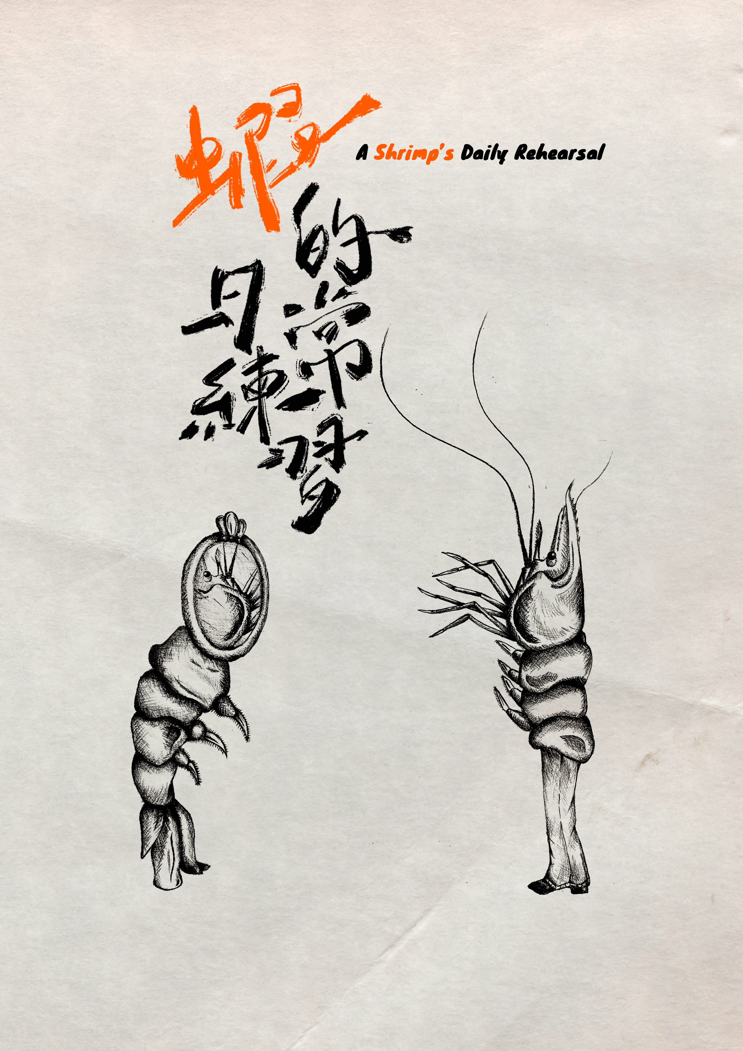 A Shrimp's Daily Rehearsal