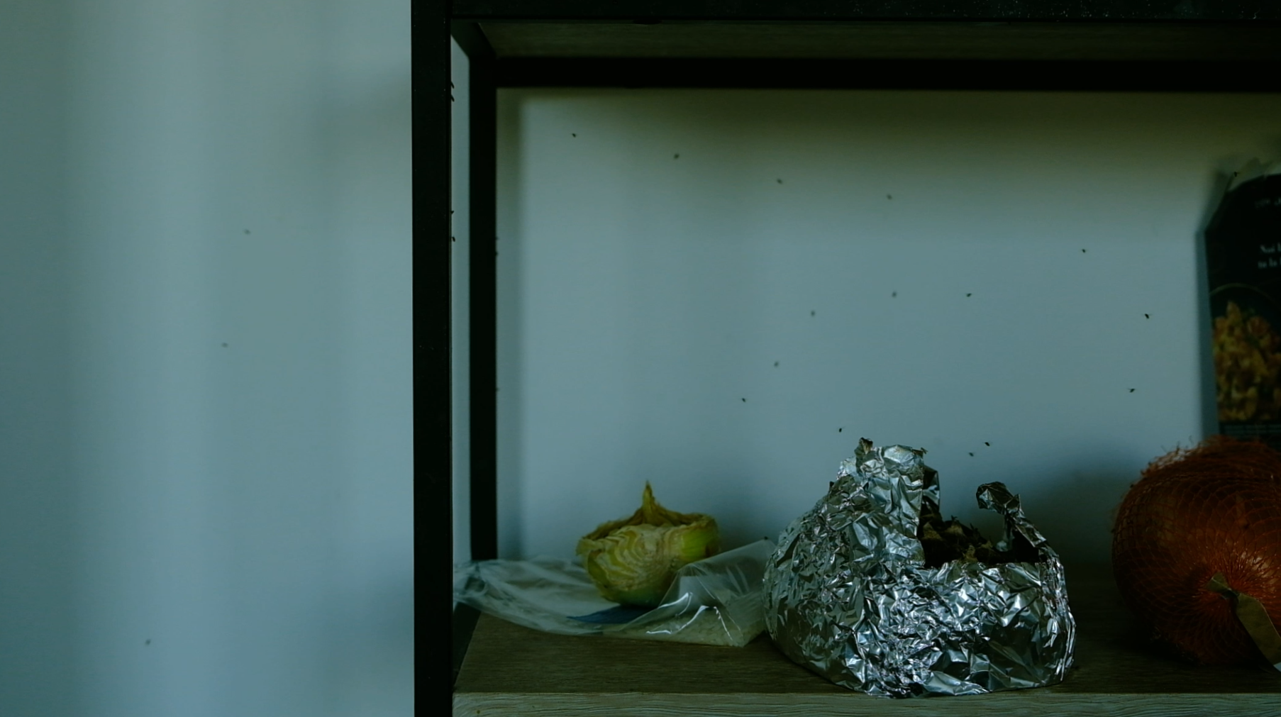 Those Who Left, Those Who Stayed