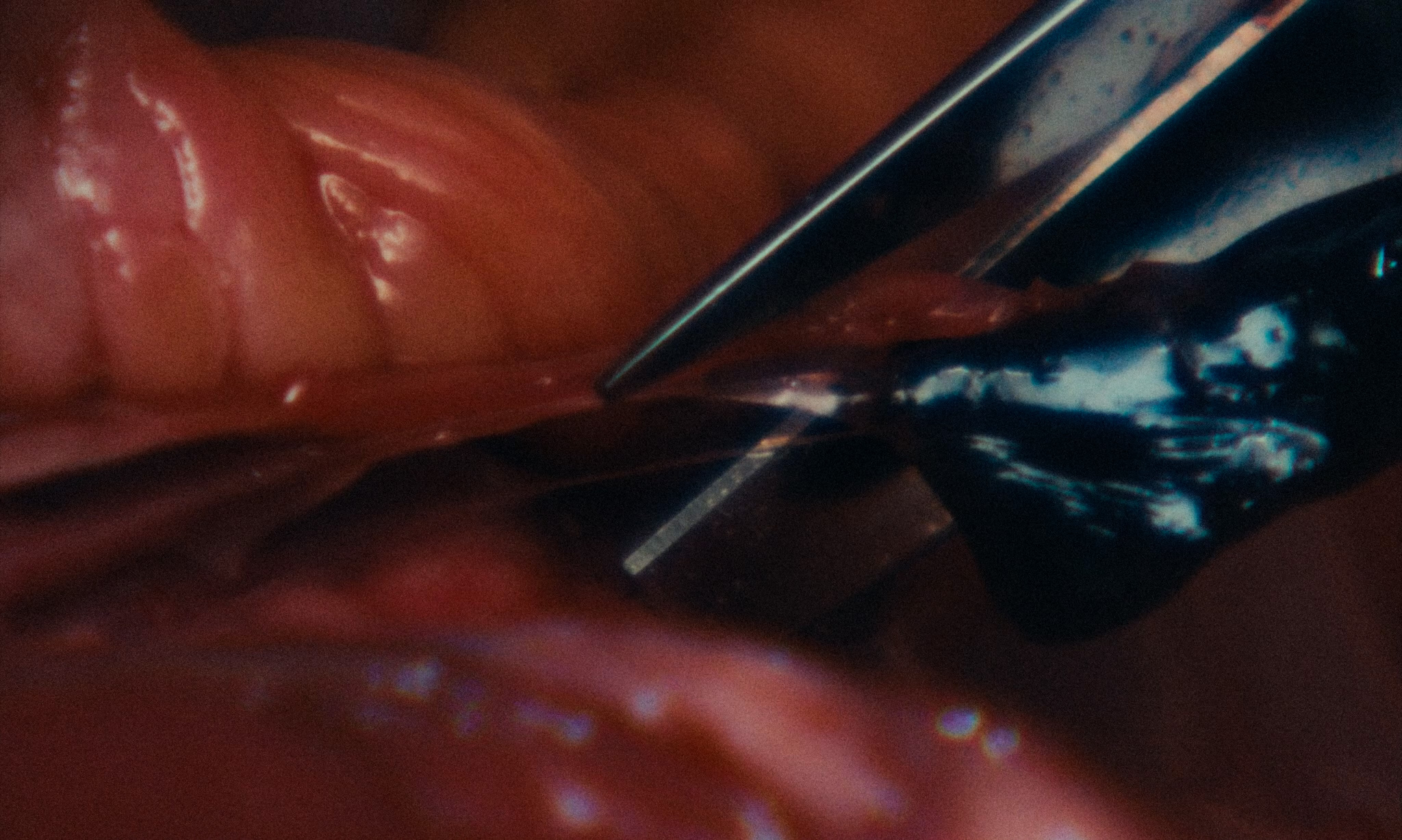 Am beispiel der aale