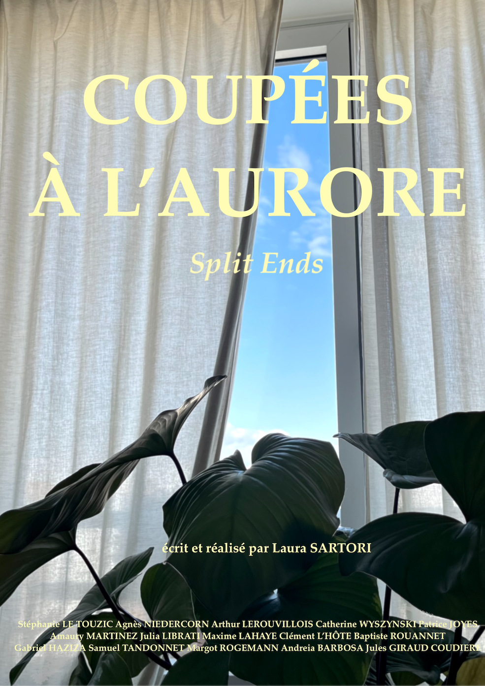 Coupées à l'aurore