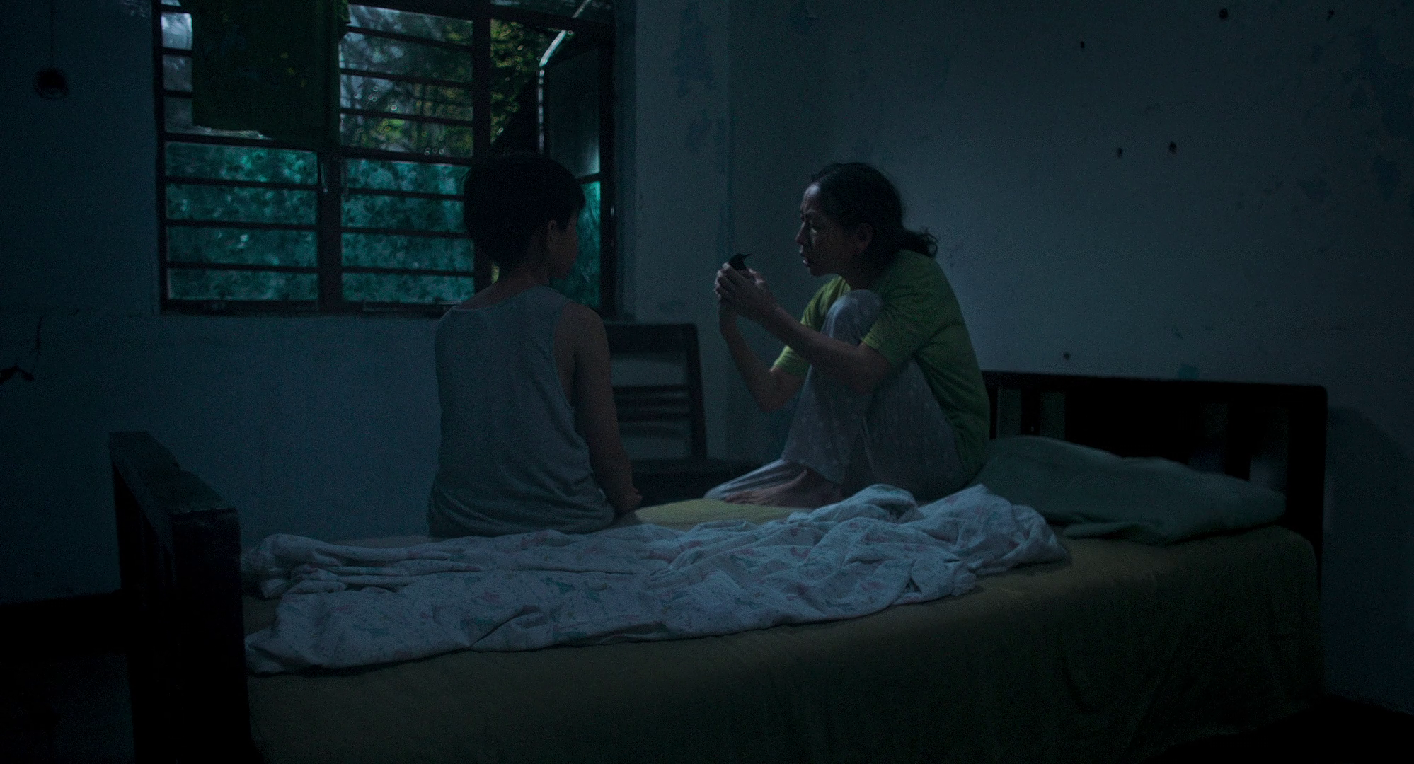 When the Picapica Flew Away