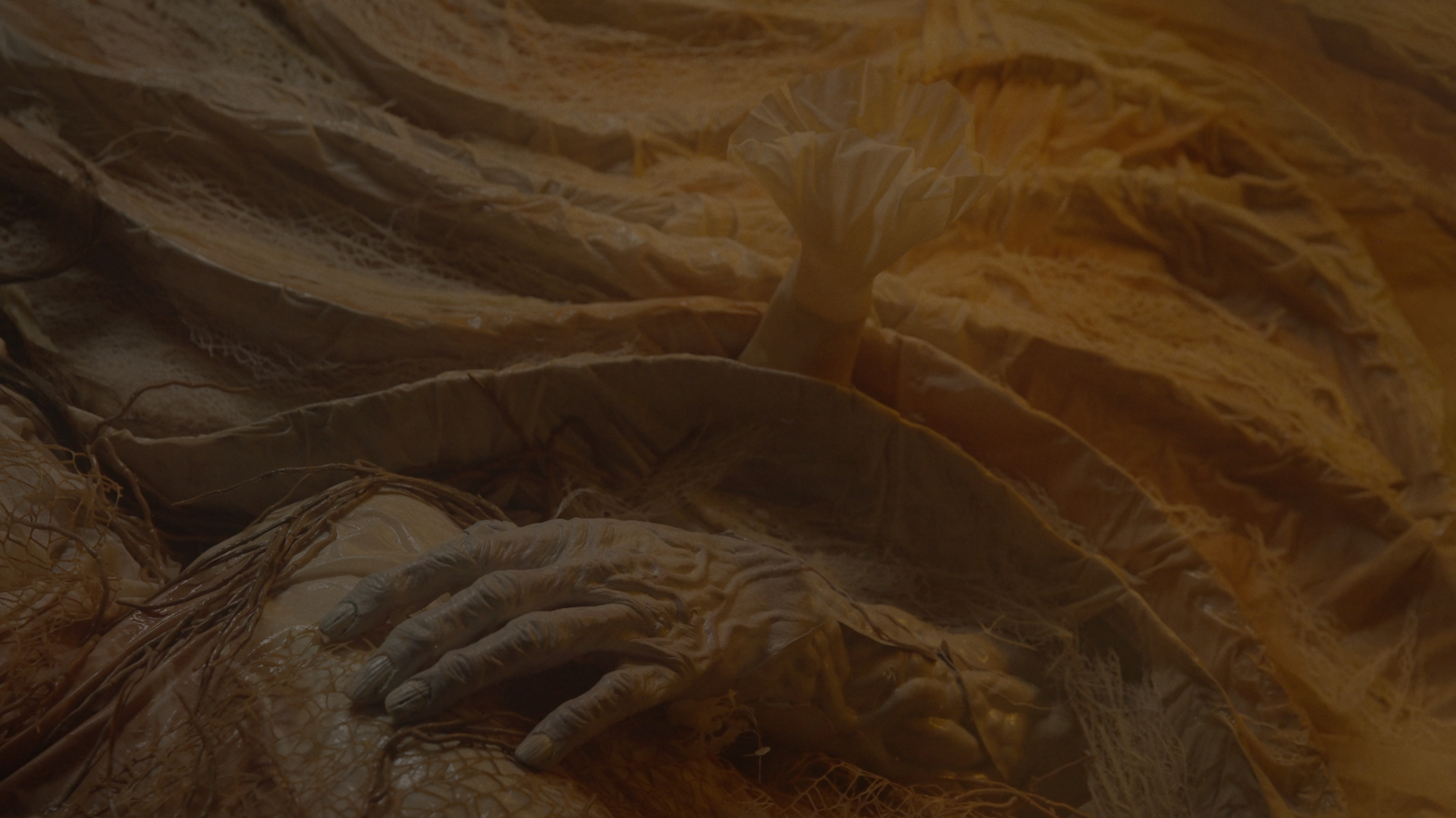 Paracletus // Hallucinate