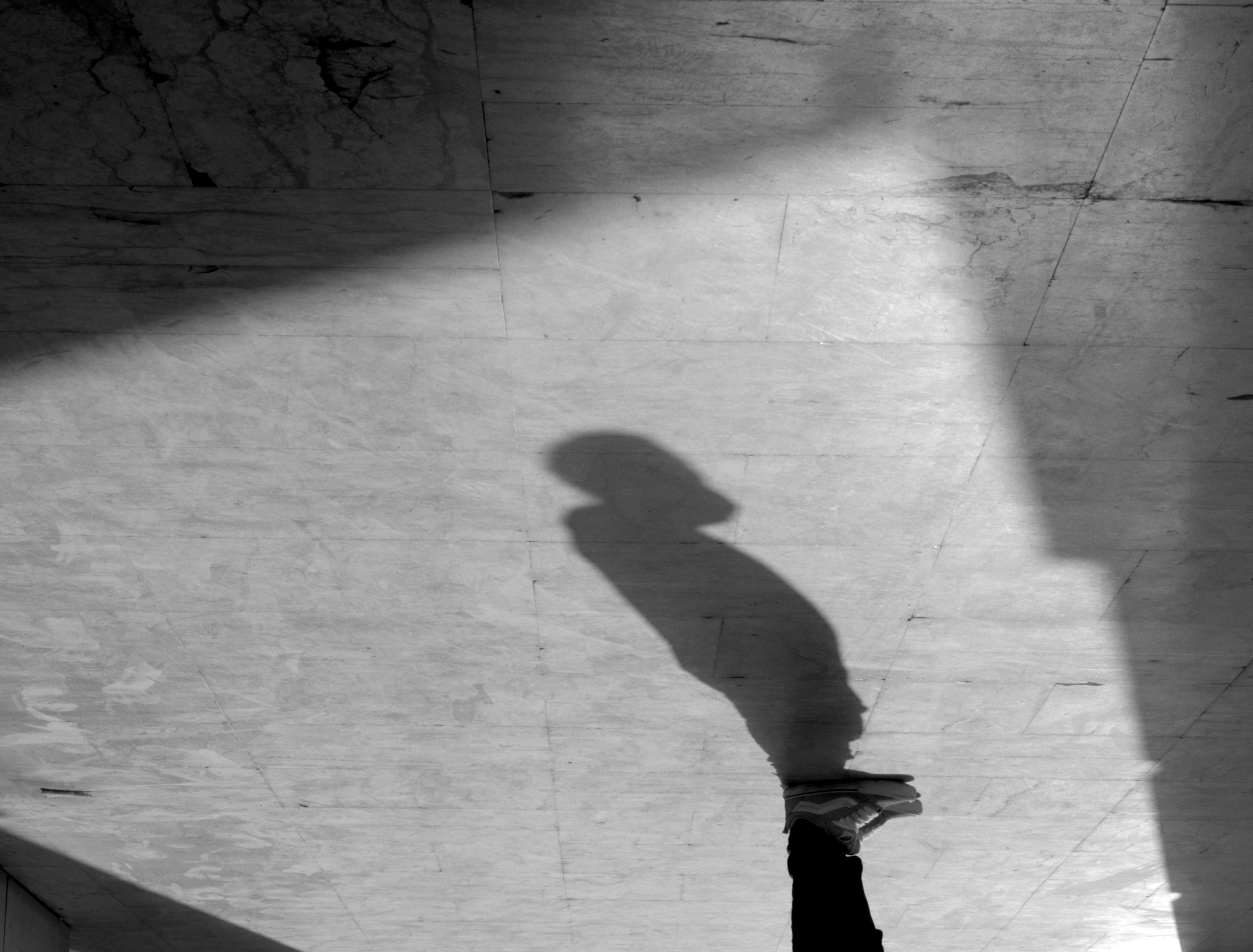 Observer