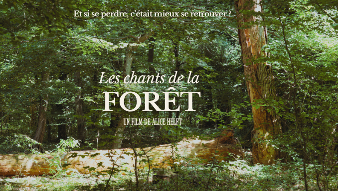Chants de la forêt
