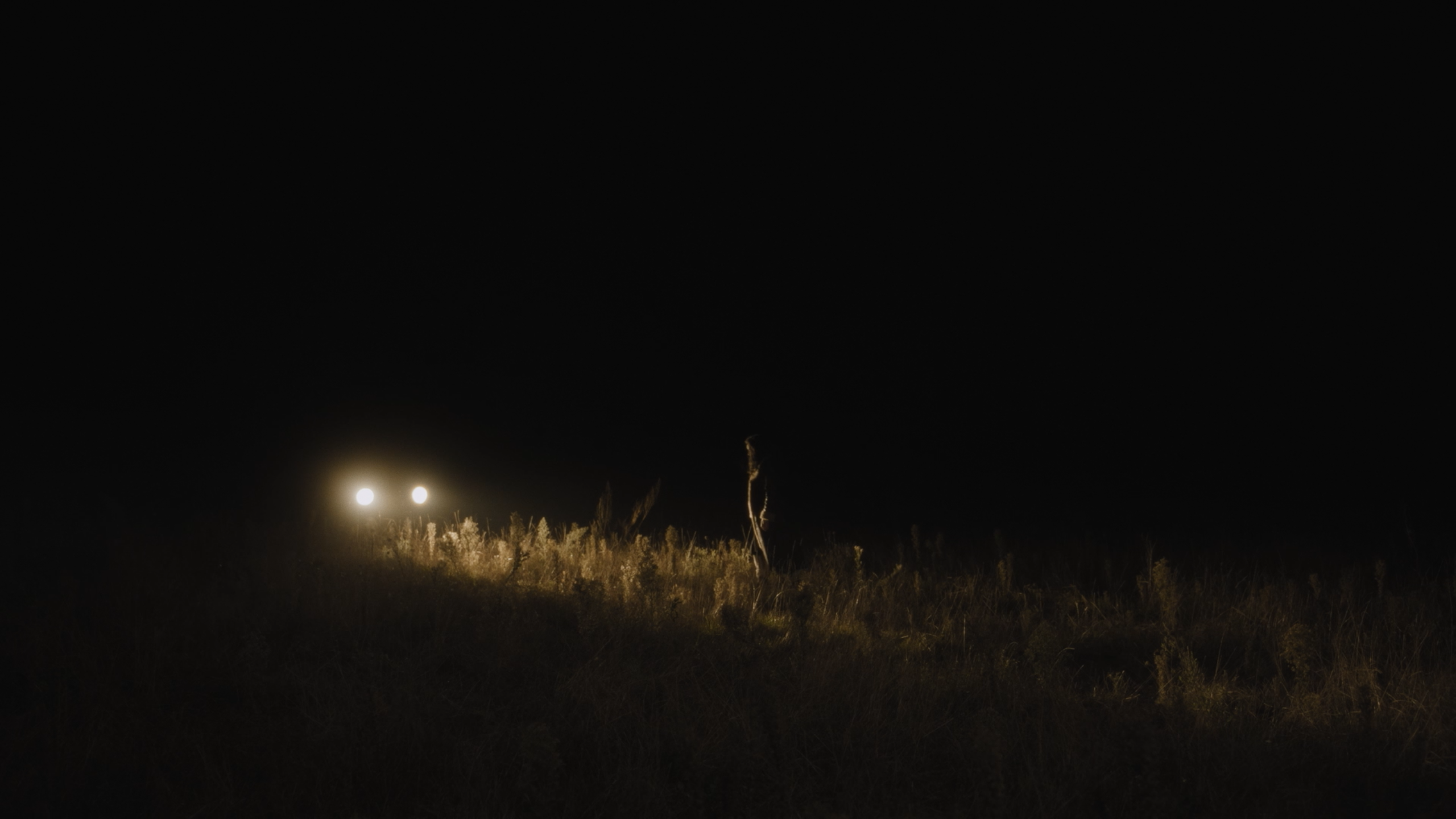 Nuit les monstres se réveillent