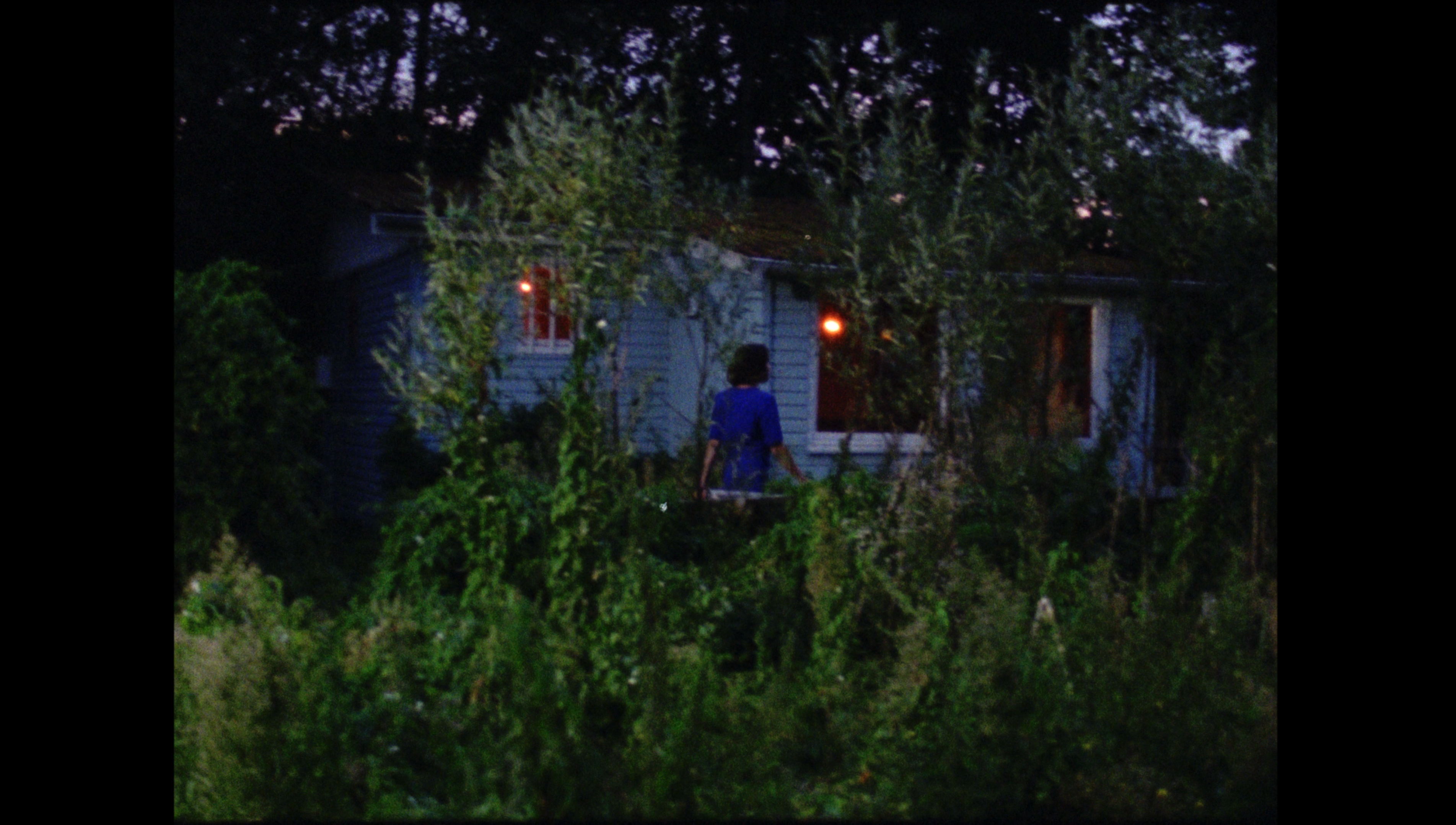 Garden Had Not Disappeared