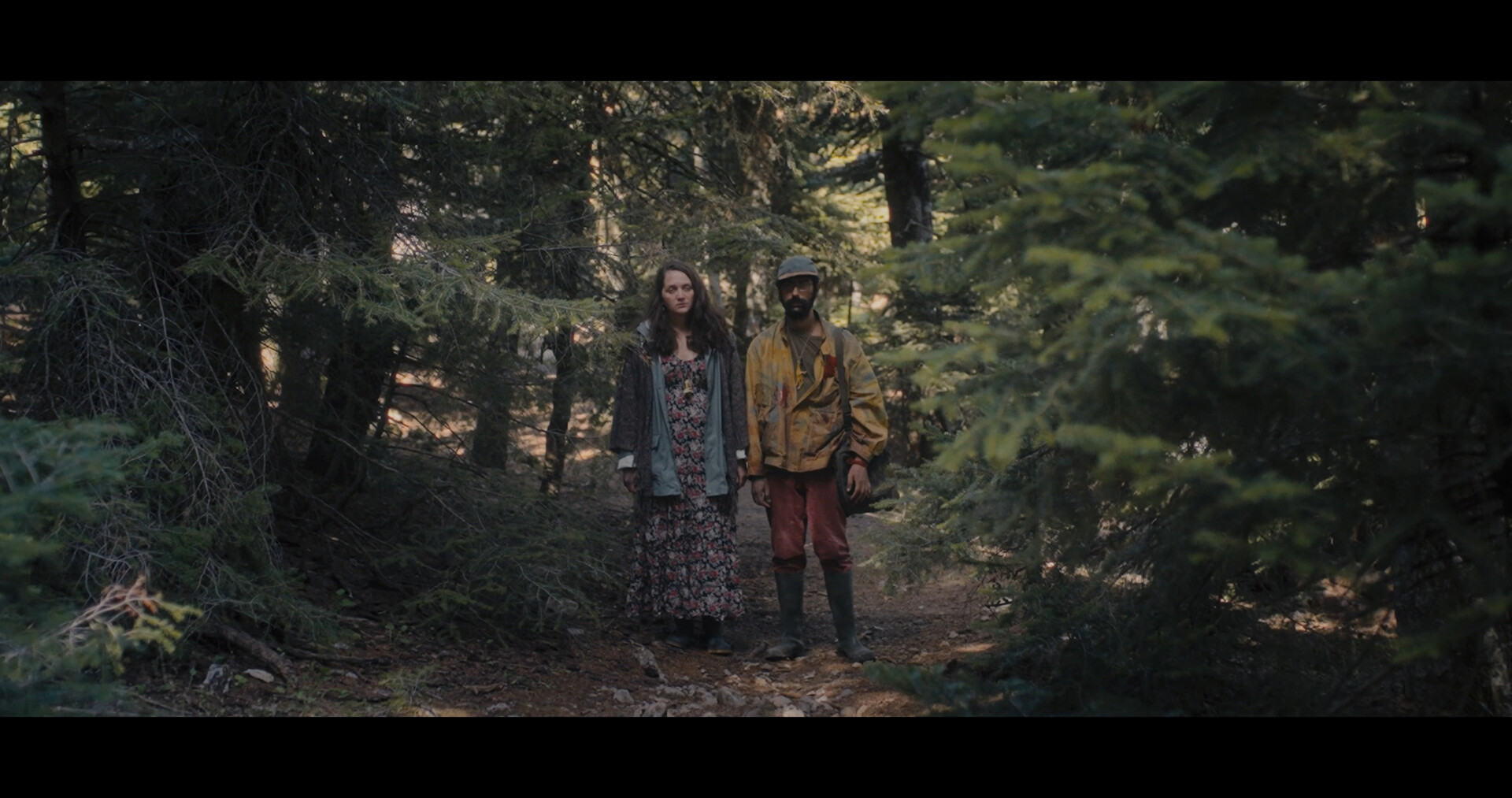 Animals in the Forest