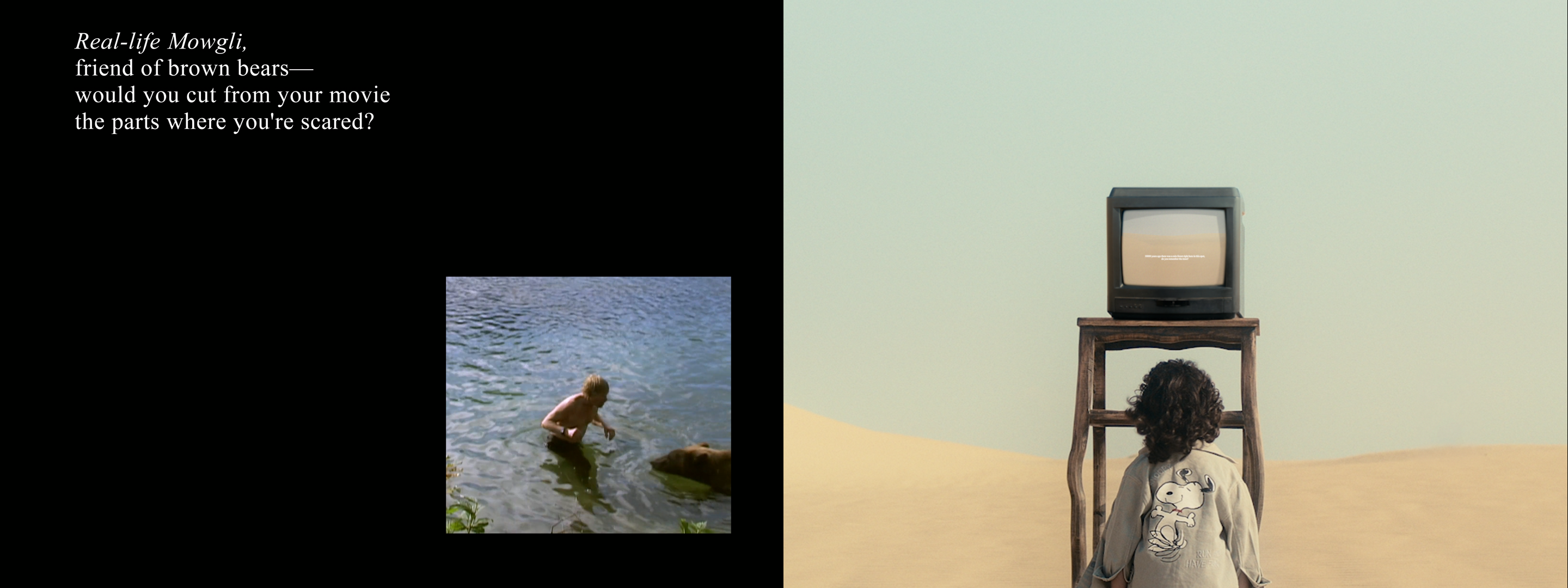 Searching for a Forest