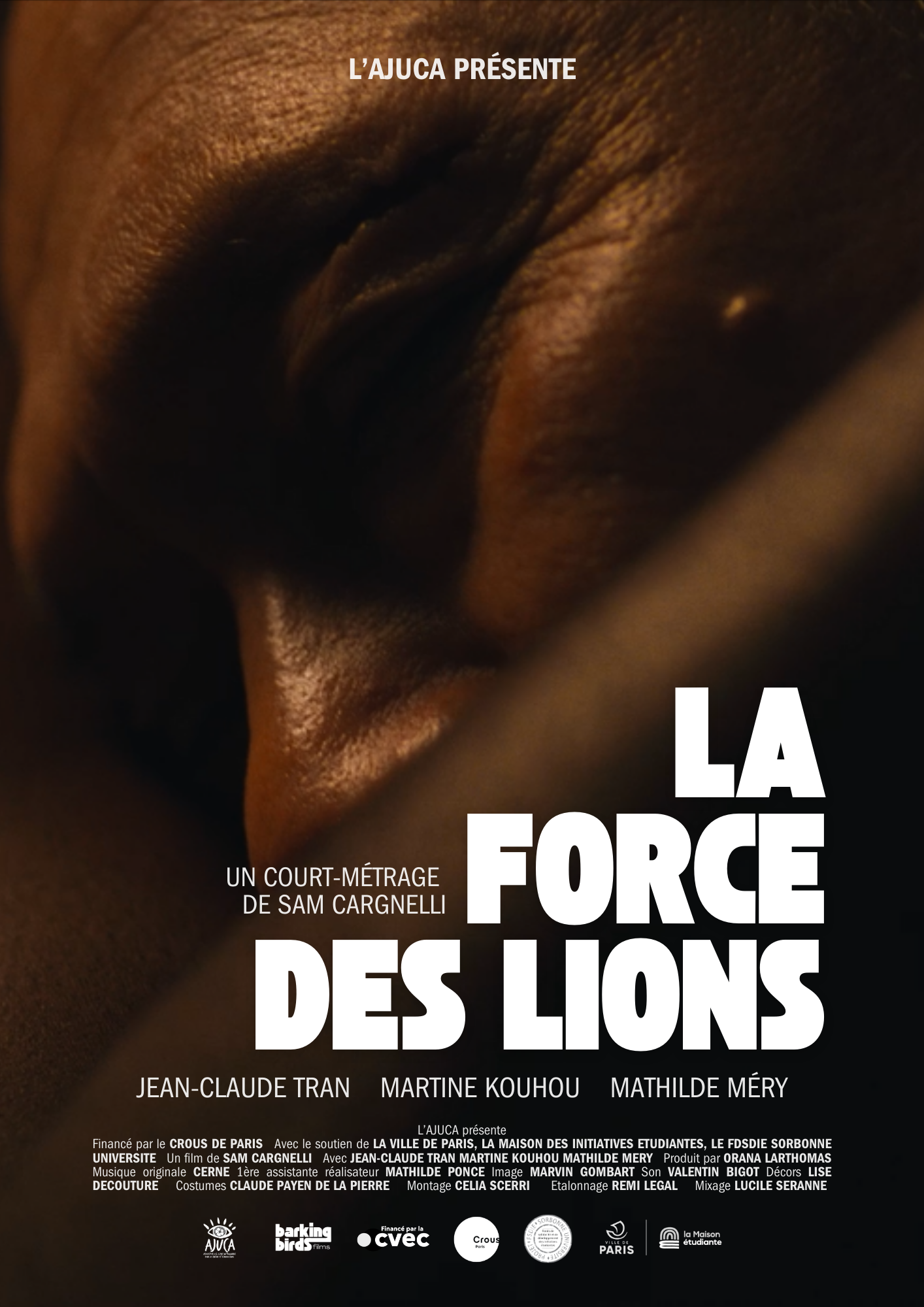 Force des Lions