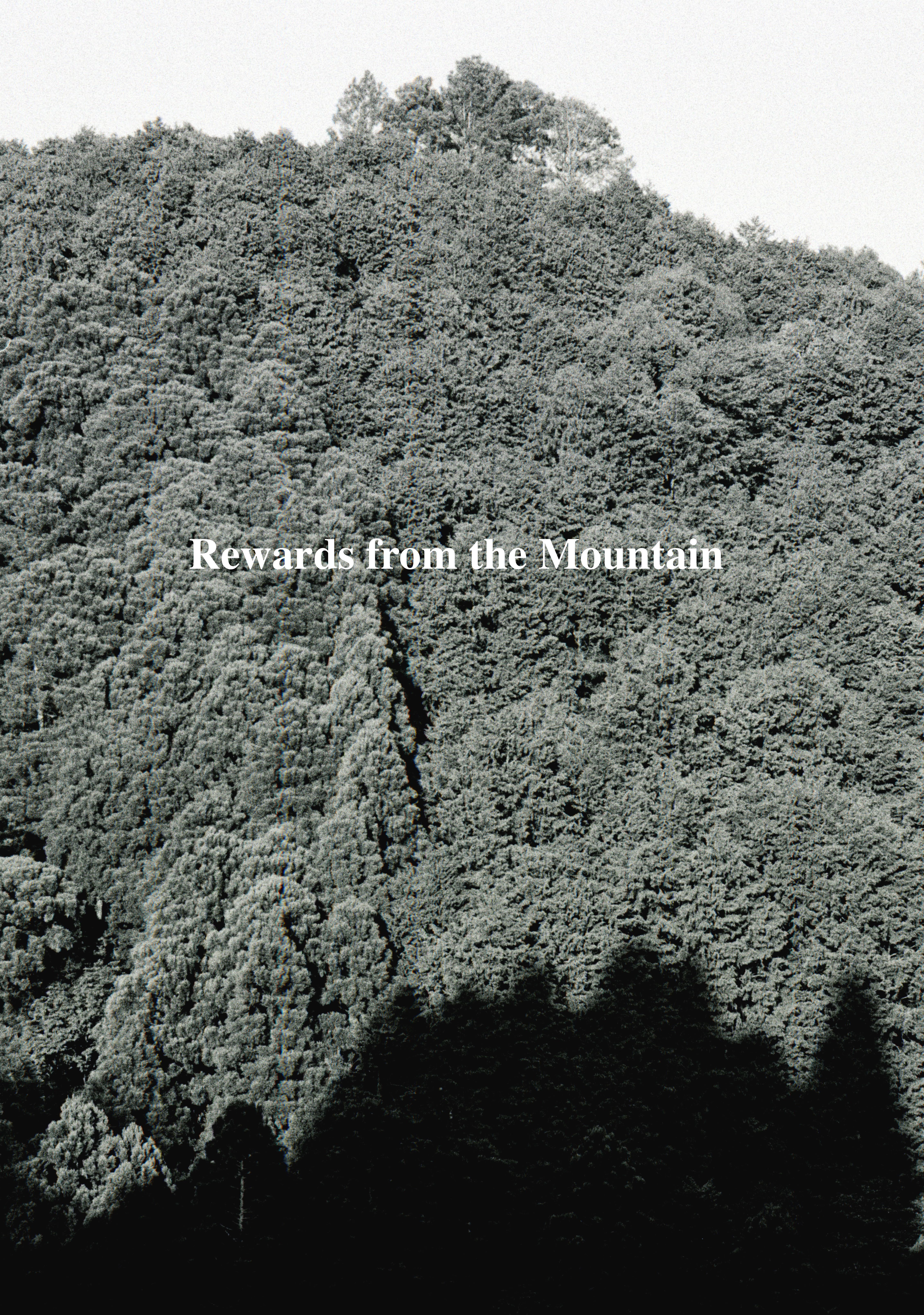 Rewards from the Mountain