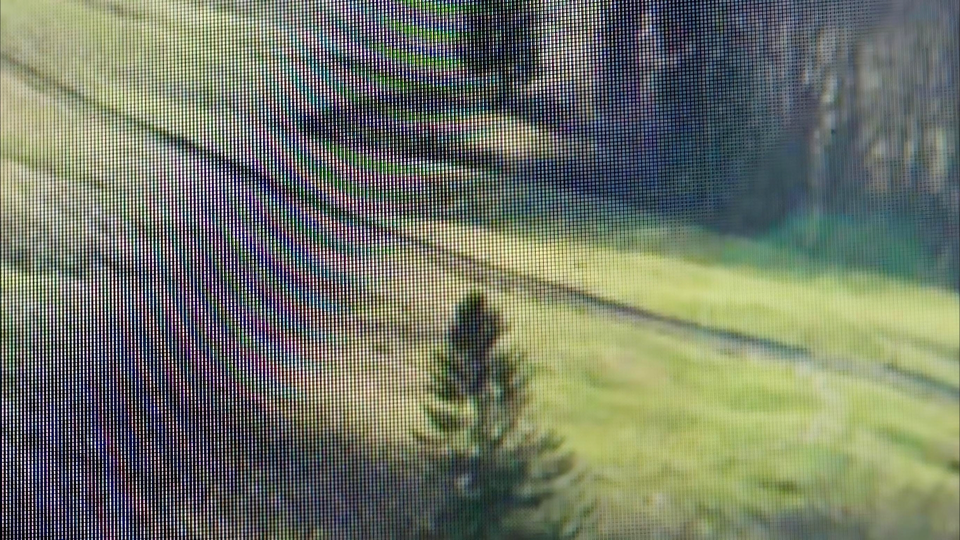 Bilder vo Langebruck