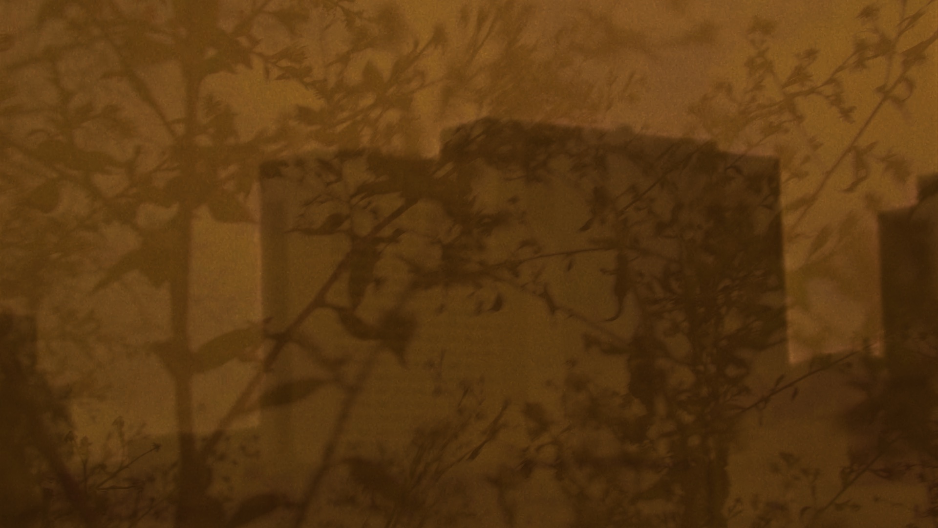 Sentence Without Words