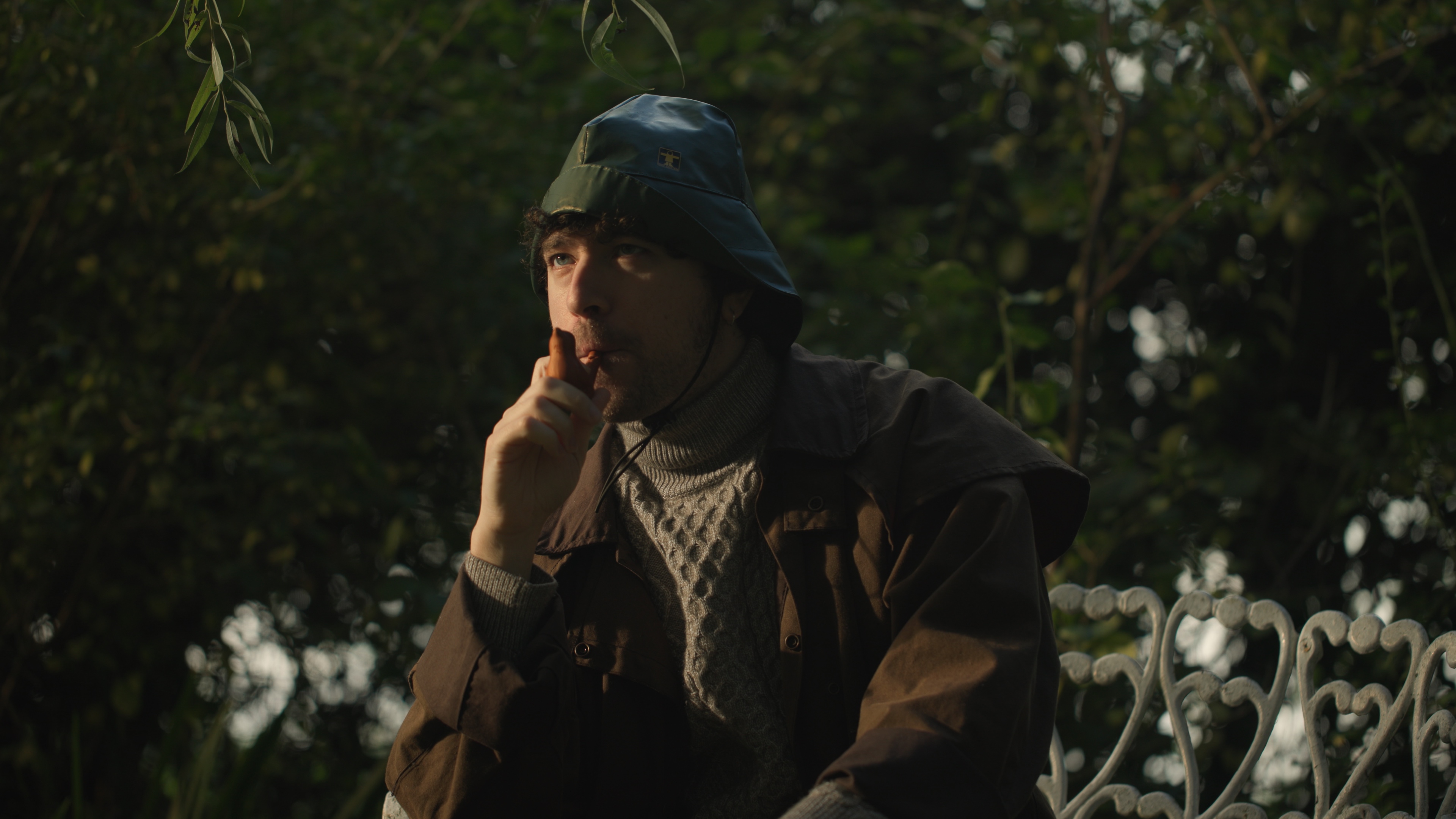 Golden Squacco Heron