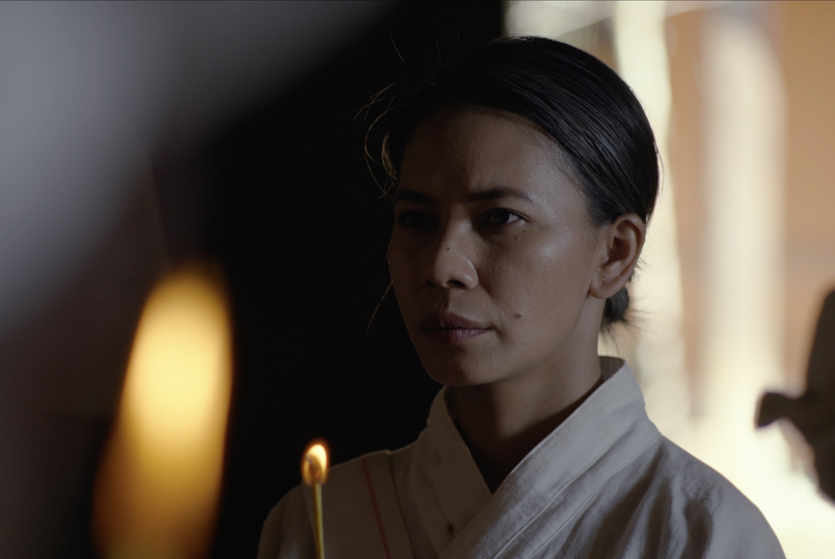 Zhi Wu Ji Yi He Bei Ning Wang De Gu Xiang