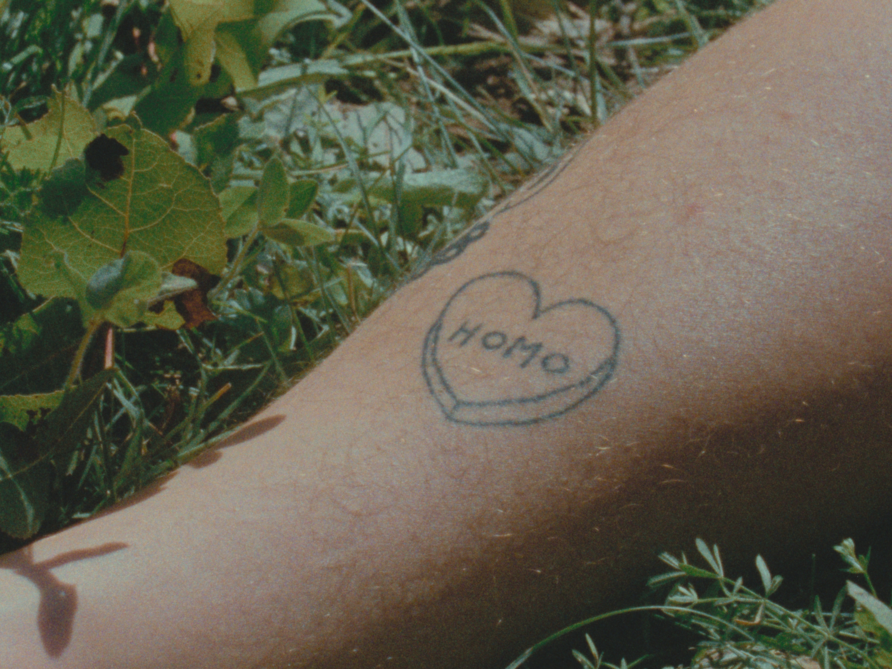 On tire pas sur une plante pour qu'elle pousse