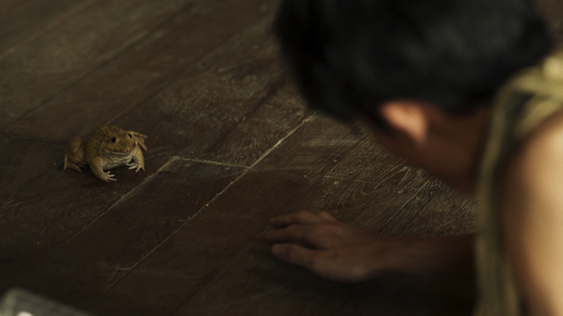 One Tropical Rain of Love and Guilt