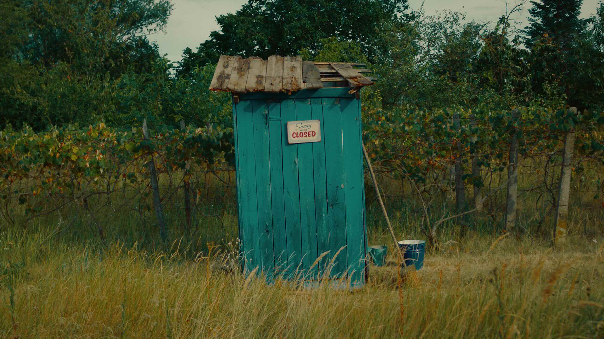 Tatie Lica la bossue